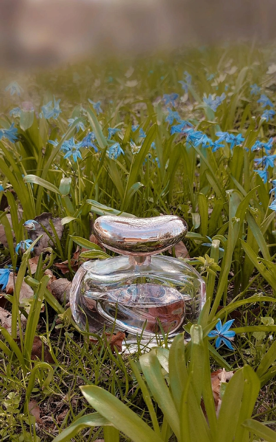 Vince Camuto Illuminare