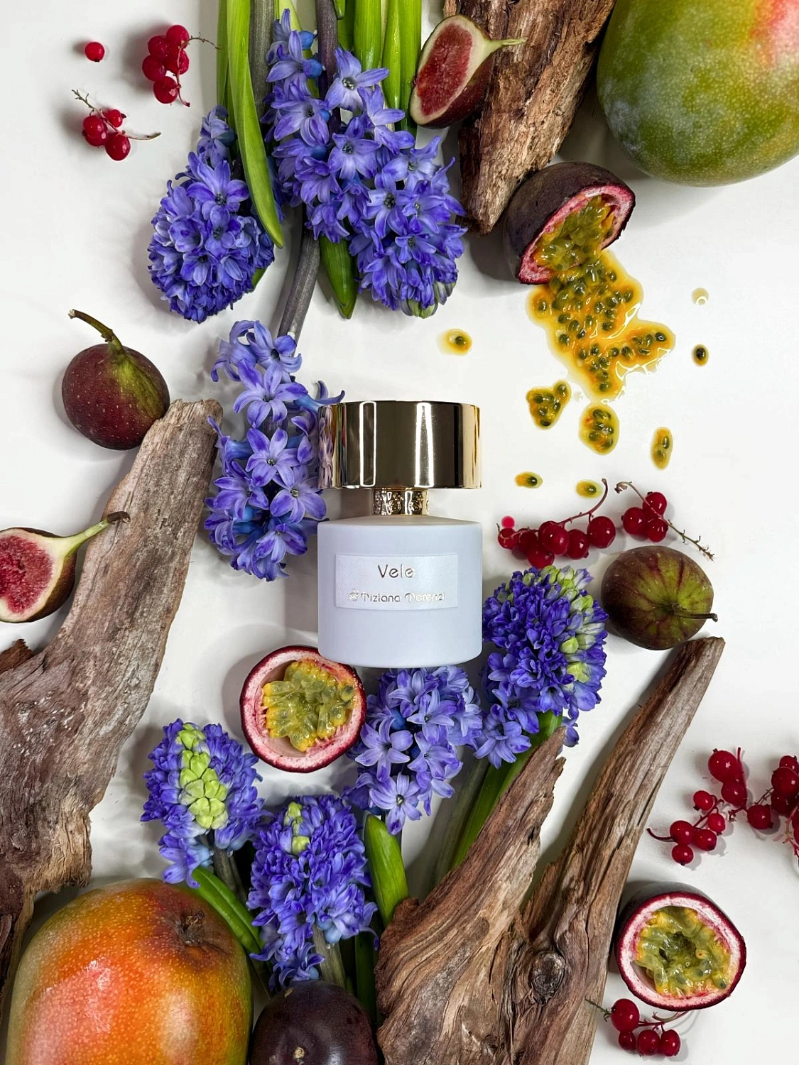 Tiziana Terenzi Vele