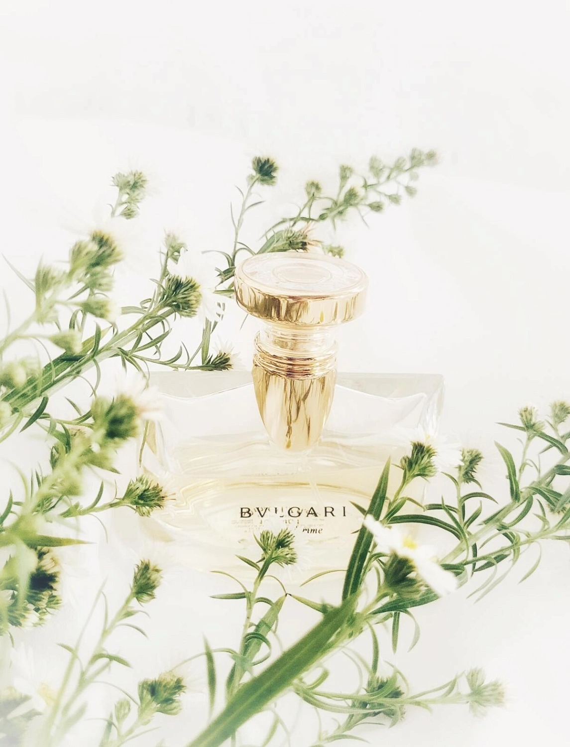 Bvlgari Pour Femme Bvlgari Pour Femme