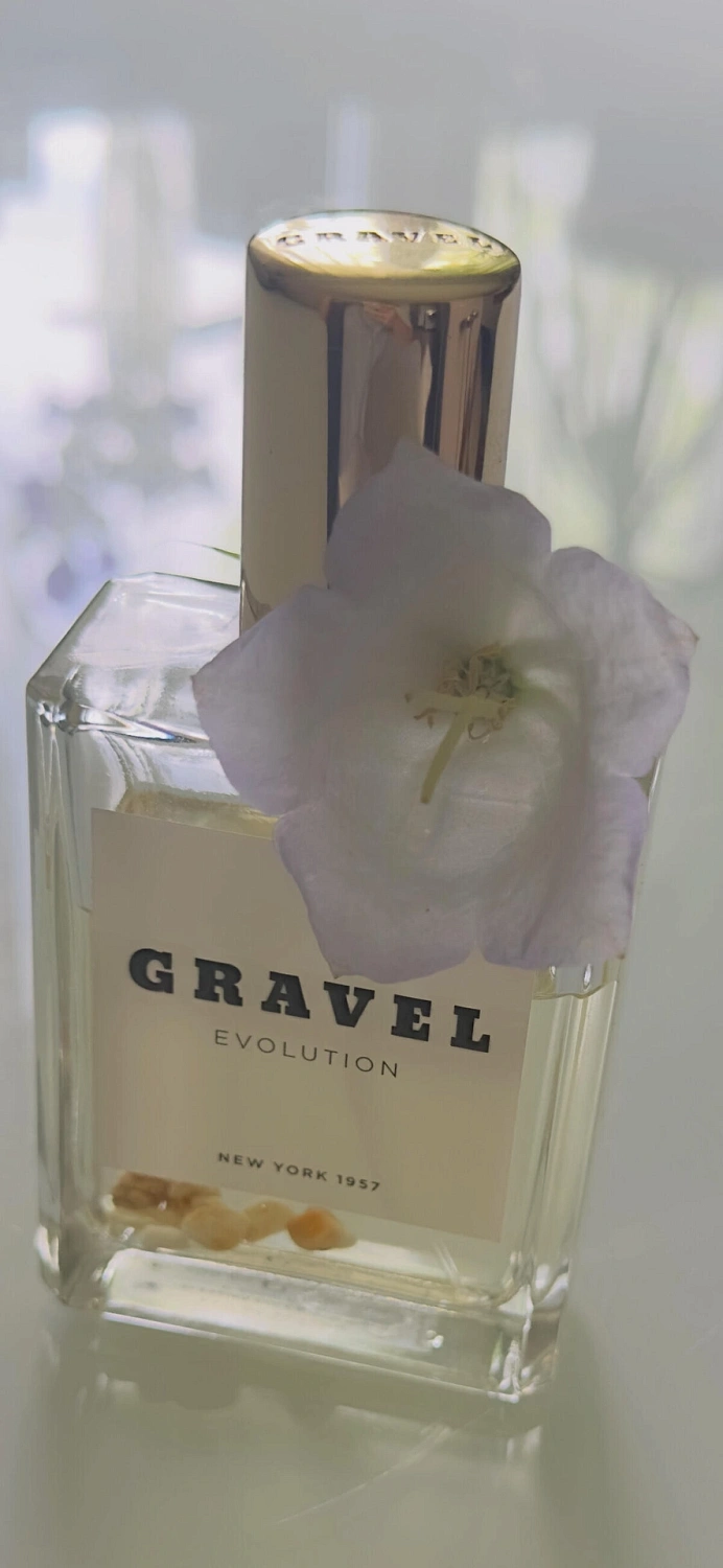 Gravel Evolution Gravel Evolution