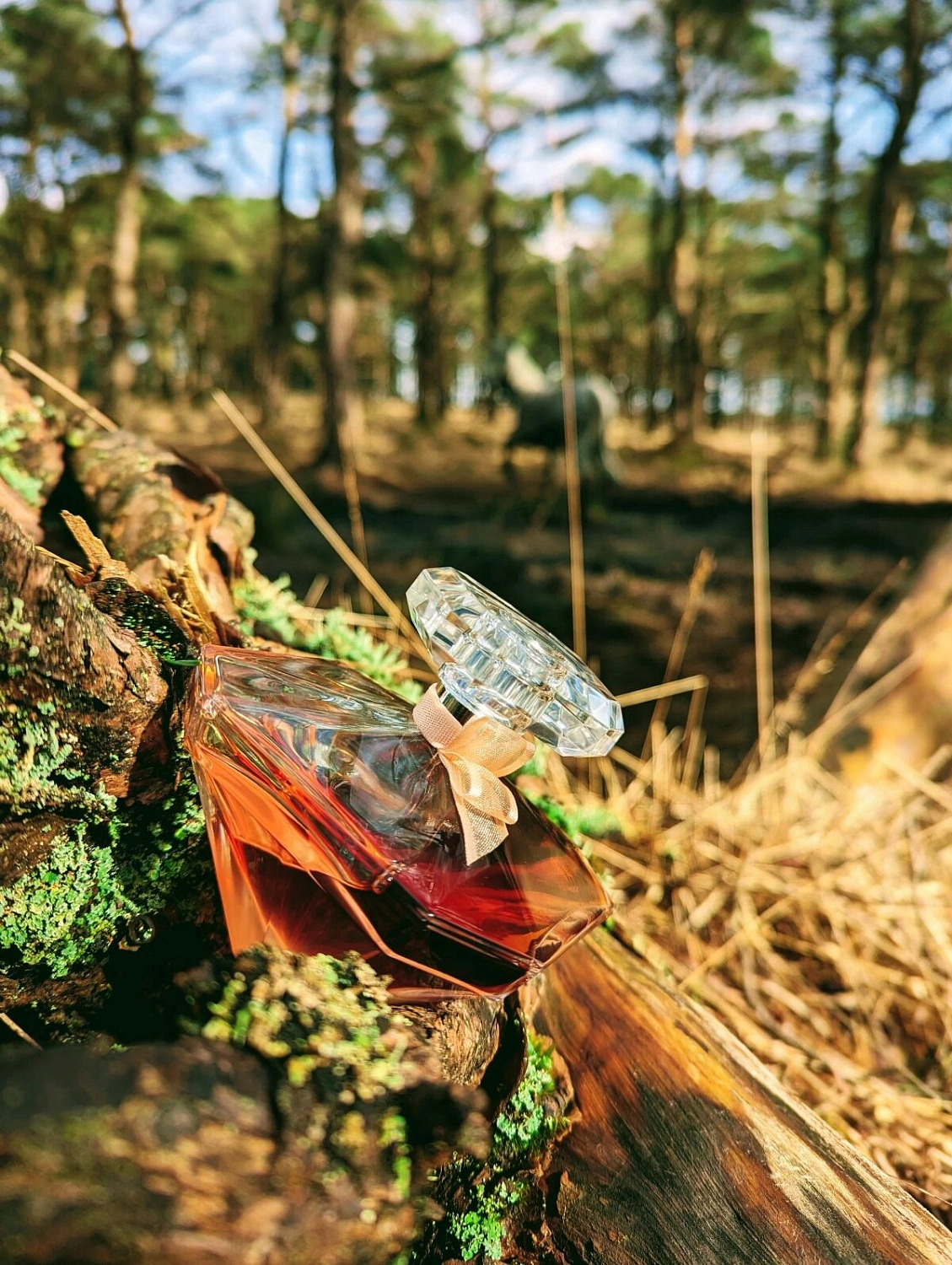 Lancome La Nuit Tresor Nude