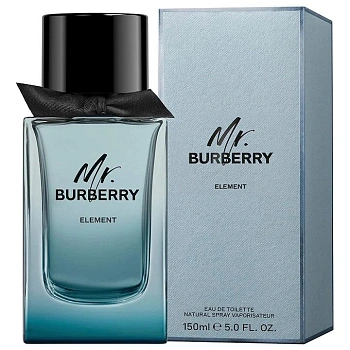 Фото Mr. Burberry Element