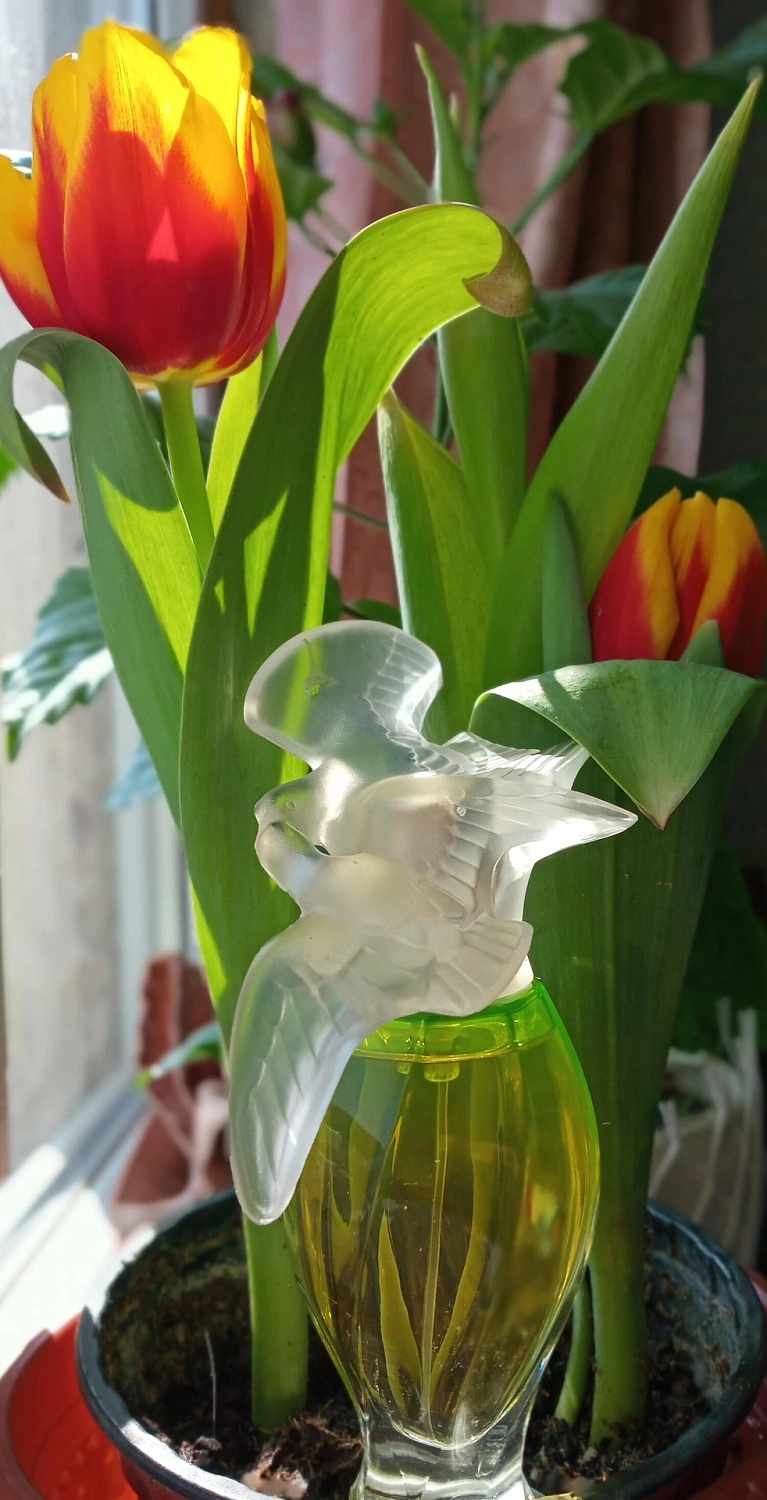 Nina Ricci L'Air du Temps Couture Edition