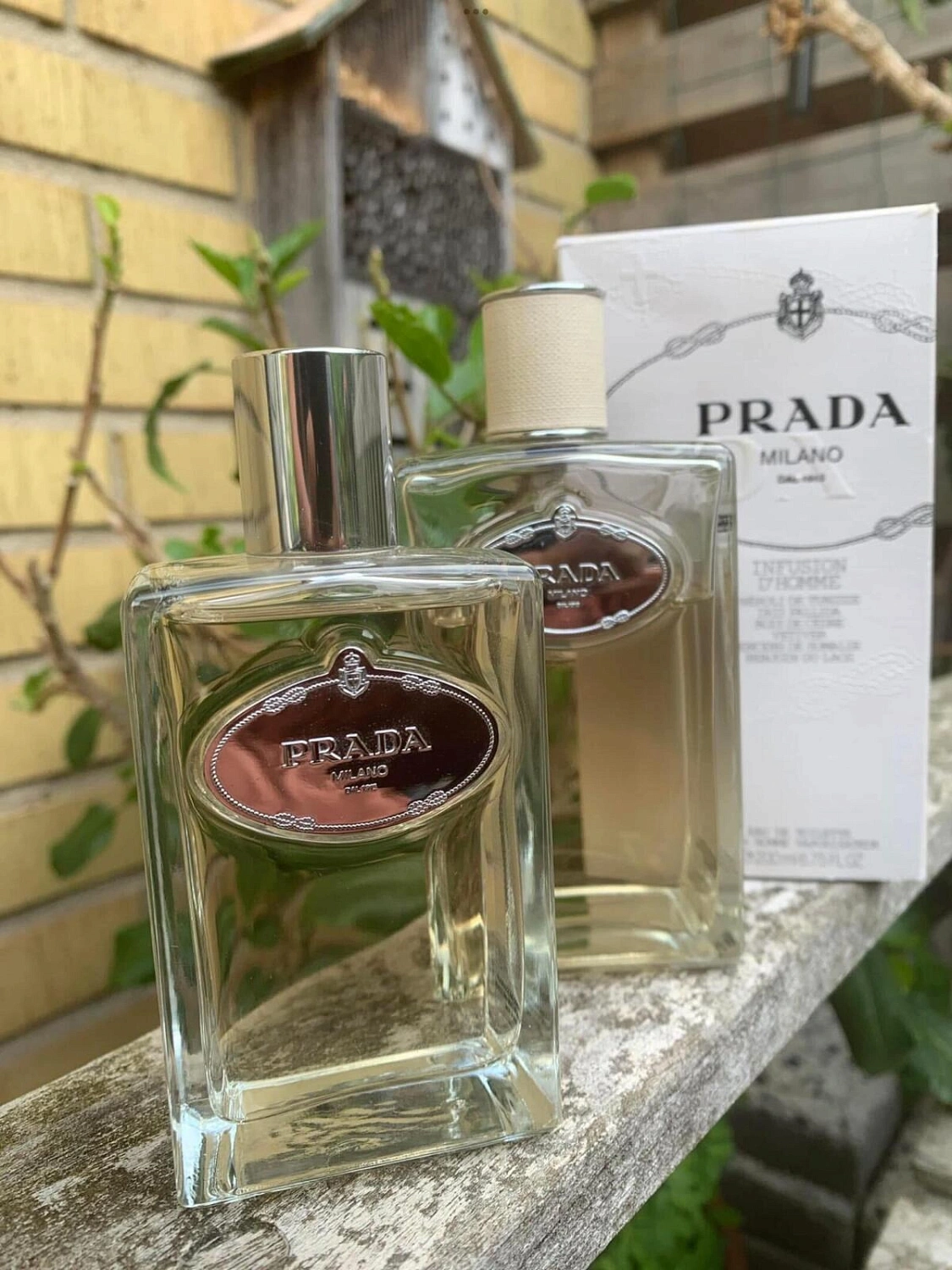Prada Infusion d'Homme