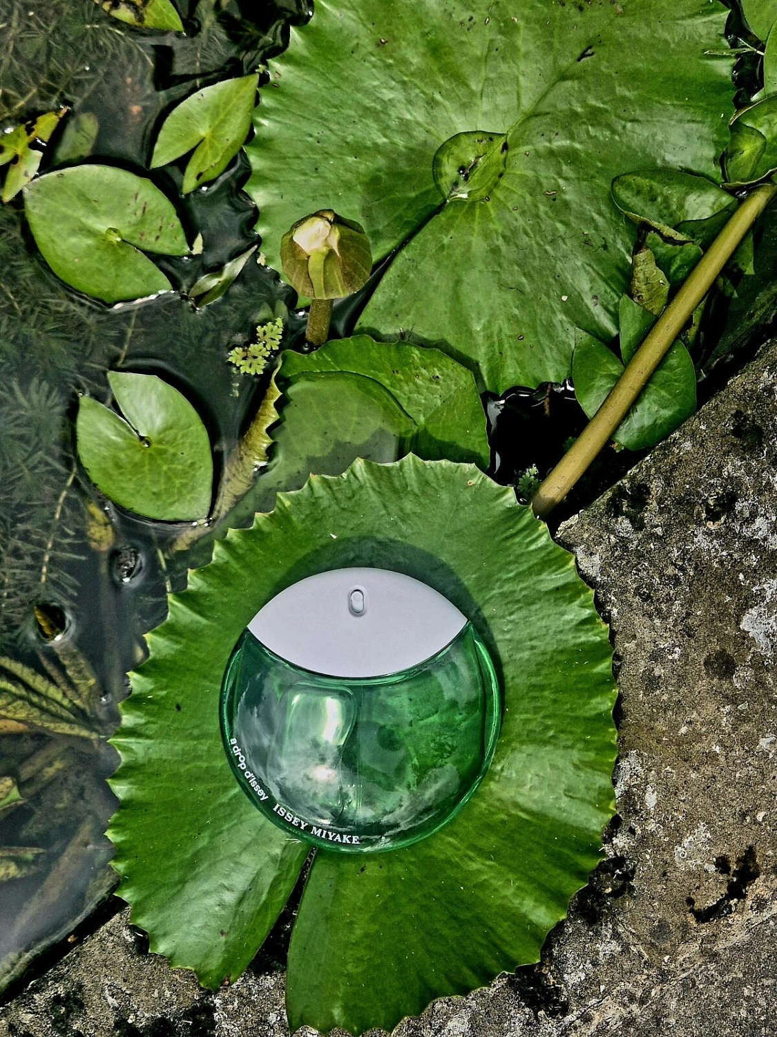 Issey Miyake A Drop d'Issey Essentielle