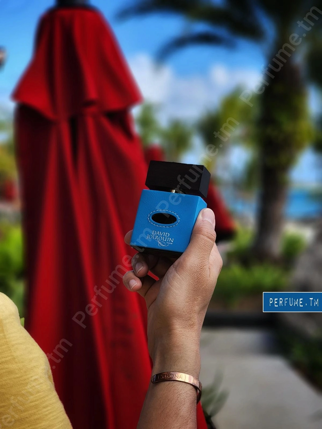 David Jourquin Cuir Caraibes