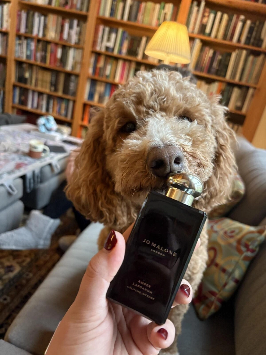 Jo Malone Amber & Labdanum