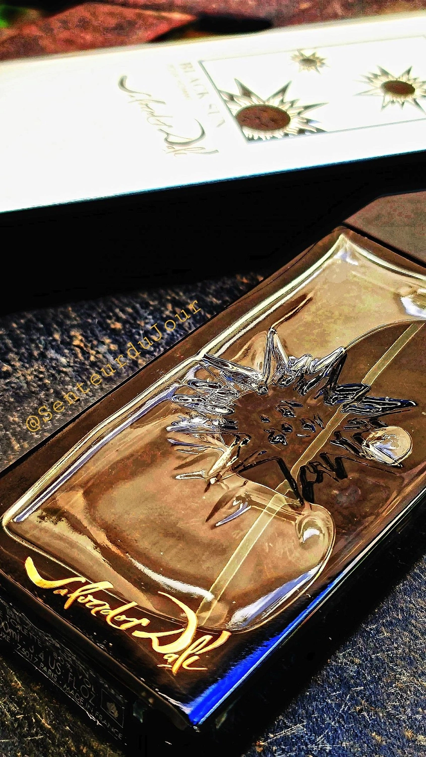 Salvador Dali Black Sun