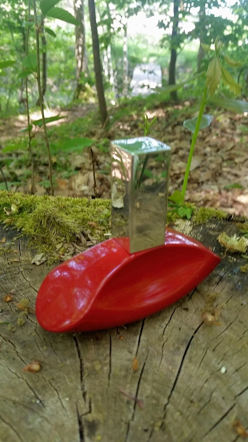 CALVIN KLEIN My Euphoria