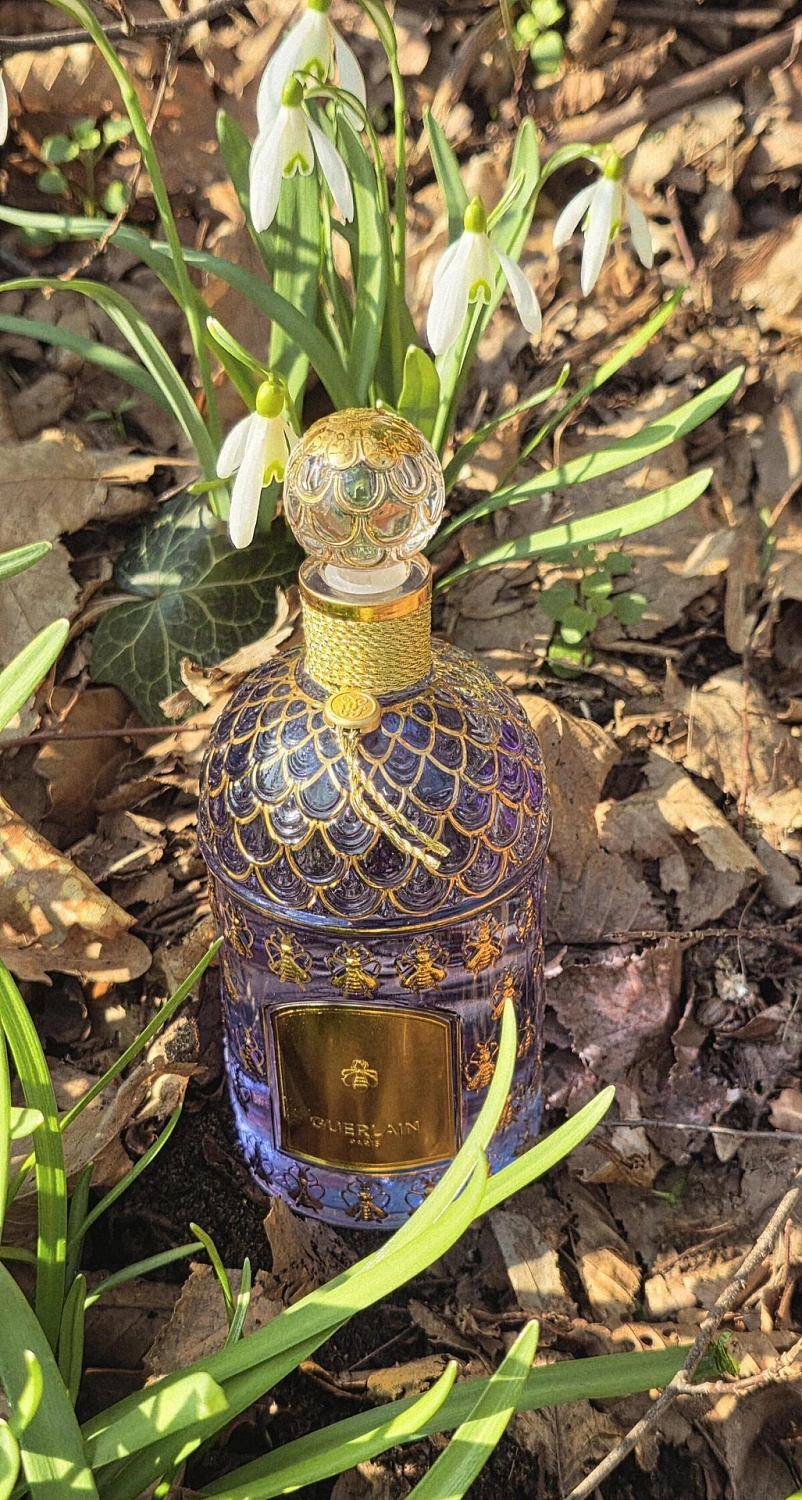 Guerlain Frenchy Lavande