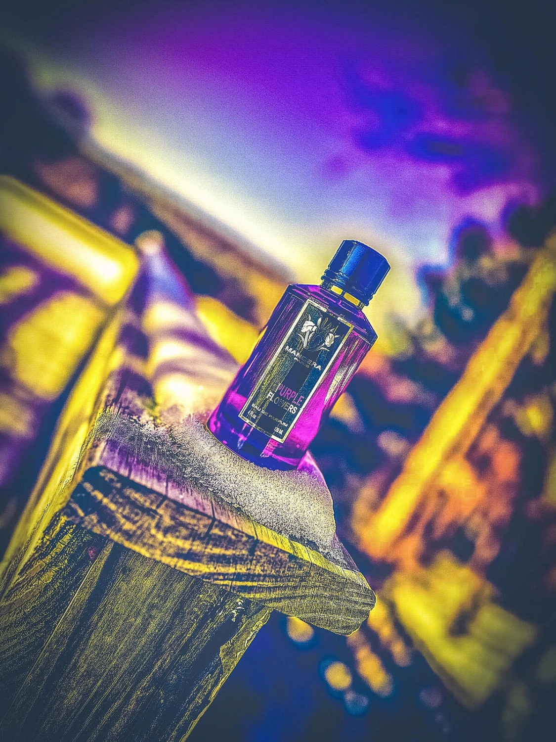 Mancera Purple Flowers