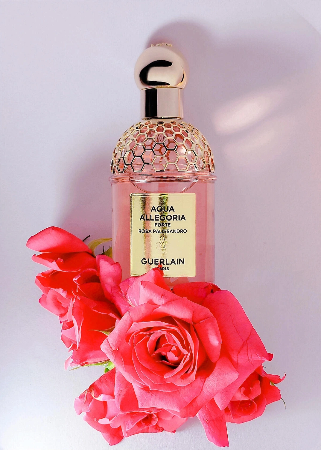 Guerlain Aqua Allegoria Forte Rosa Palissandro