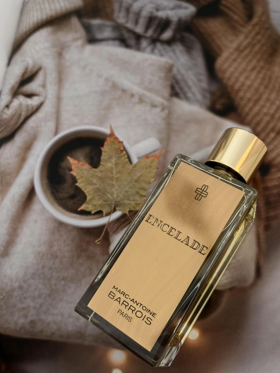 Marc-Antoine Barrois Encelade