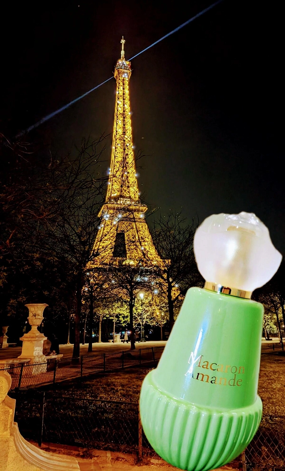 Jeanne Arthes Tea Time à Paris Macaron Amande