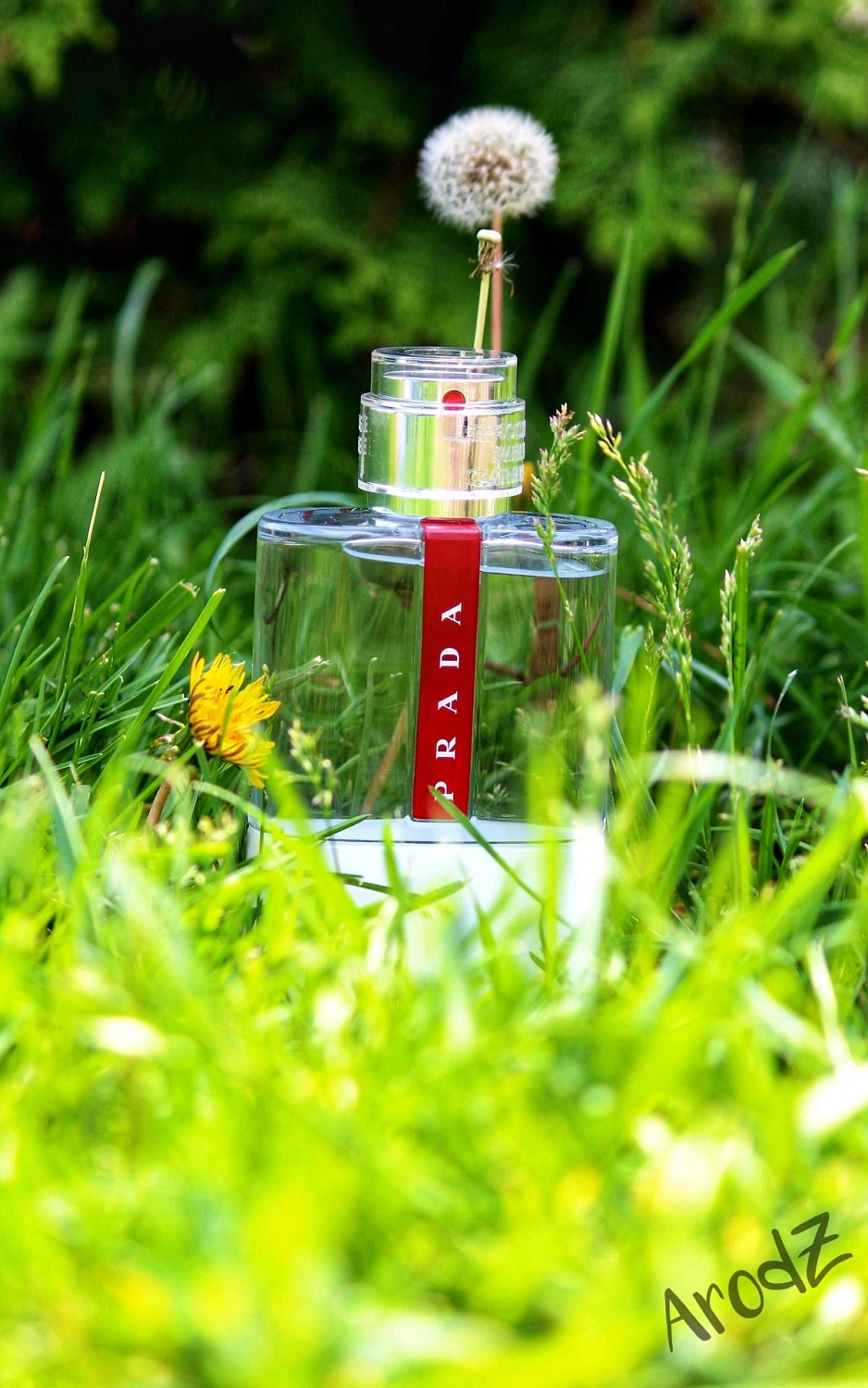 Prada Luna Rossa Eau Sport
