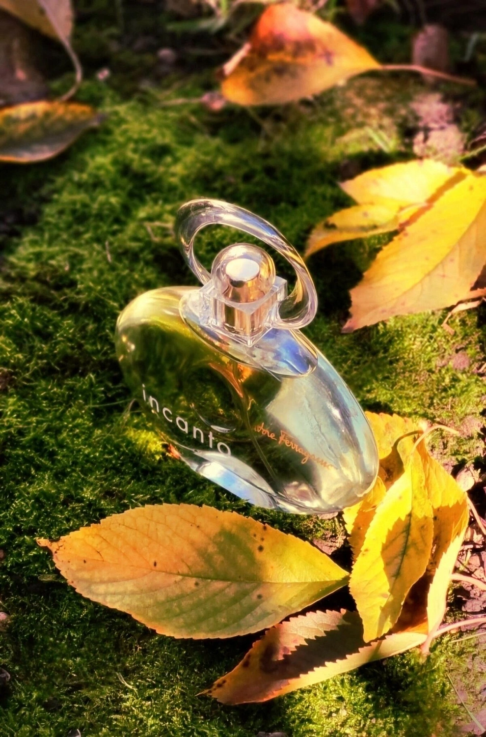 Salvatore Ferragamo Incanto