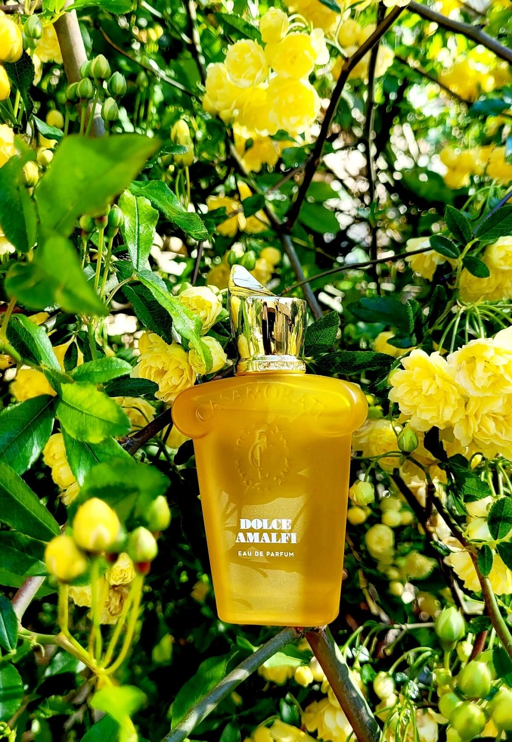 Xerjoff Dolce Amalfi