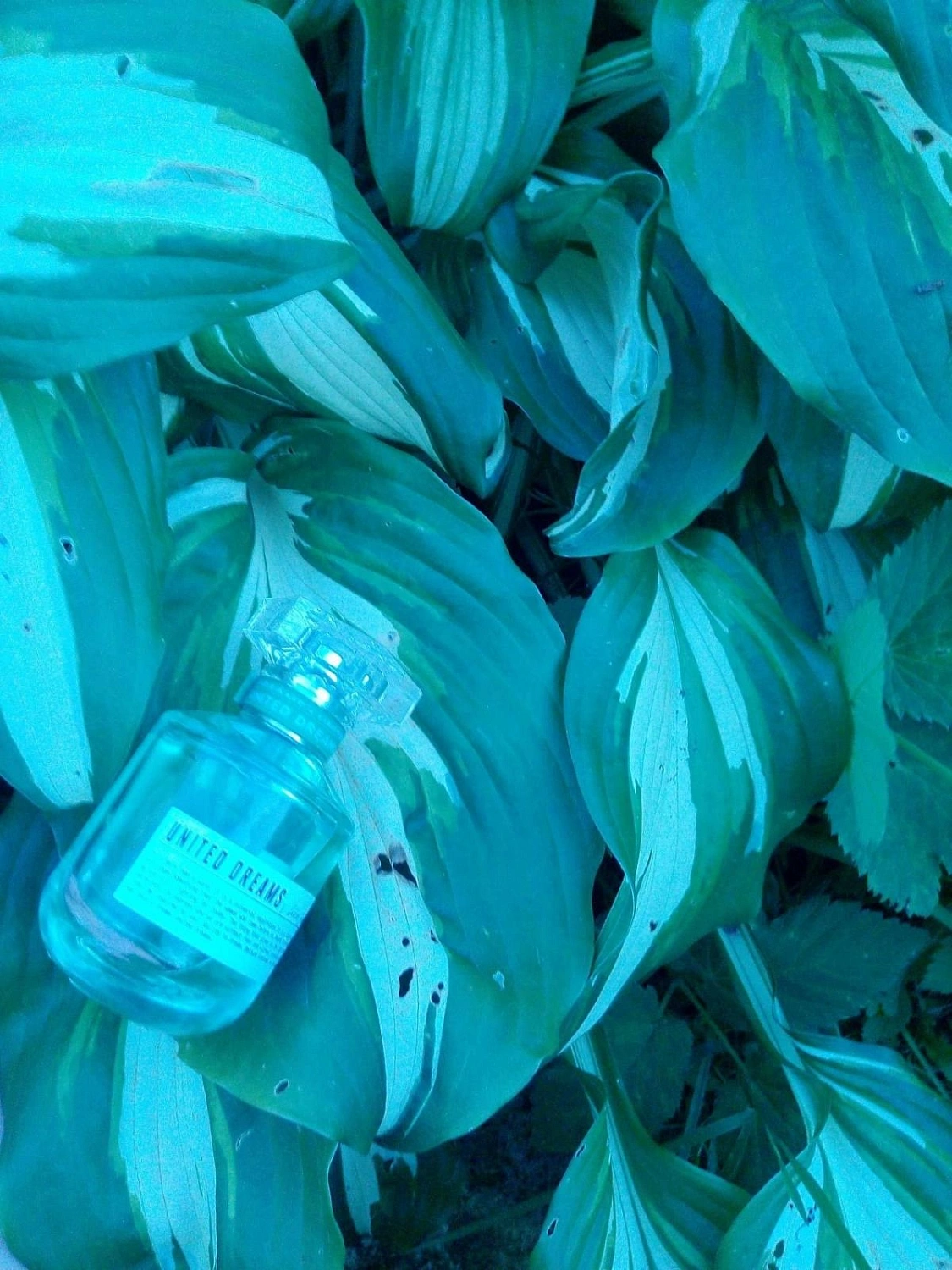 UNITED COLORS OF BENETTON United Dreams Live Free