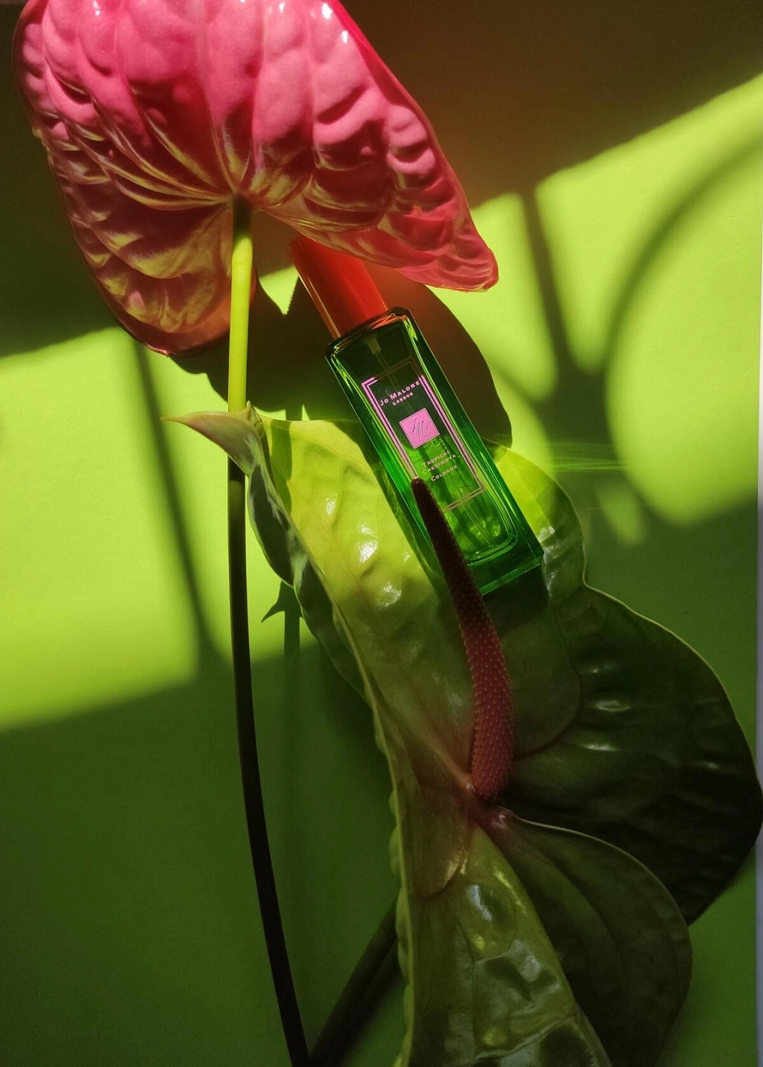 Jo Malone Tropical Cherimoya Jo Malone Tropical Cherimoya