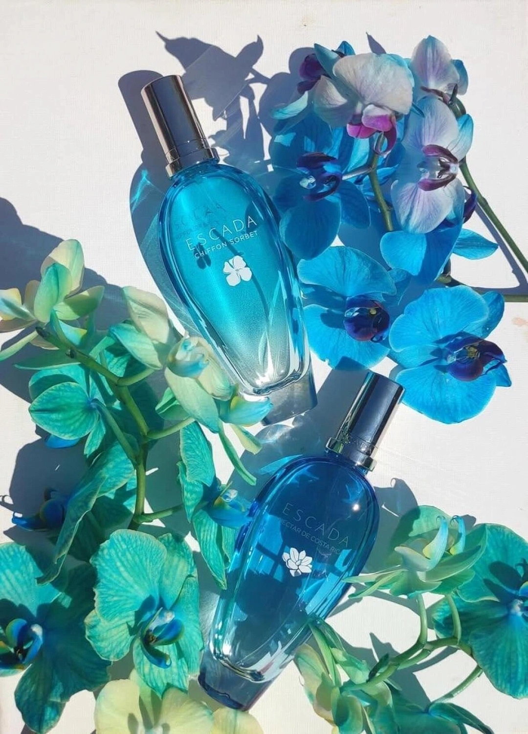 Escada Nectar de Costa Rica