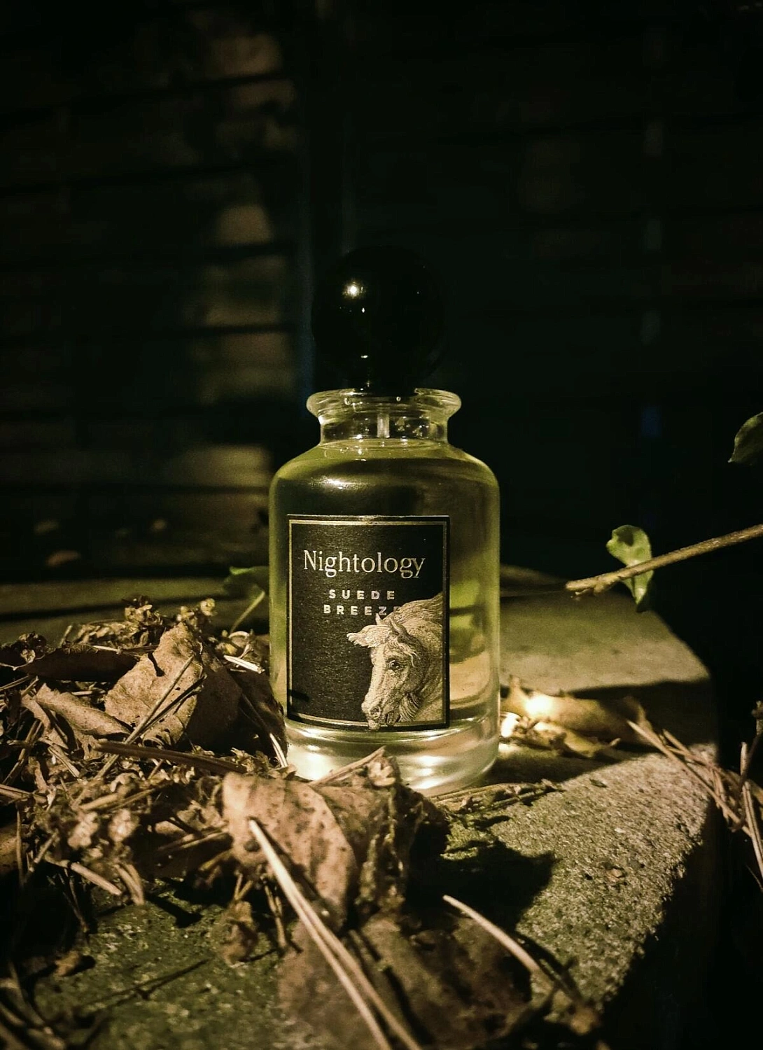 Jesus Del Pozo Suede Breeze