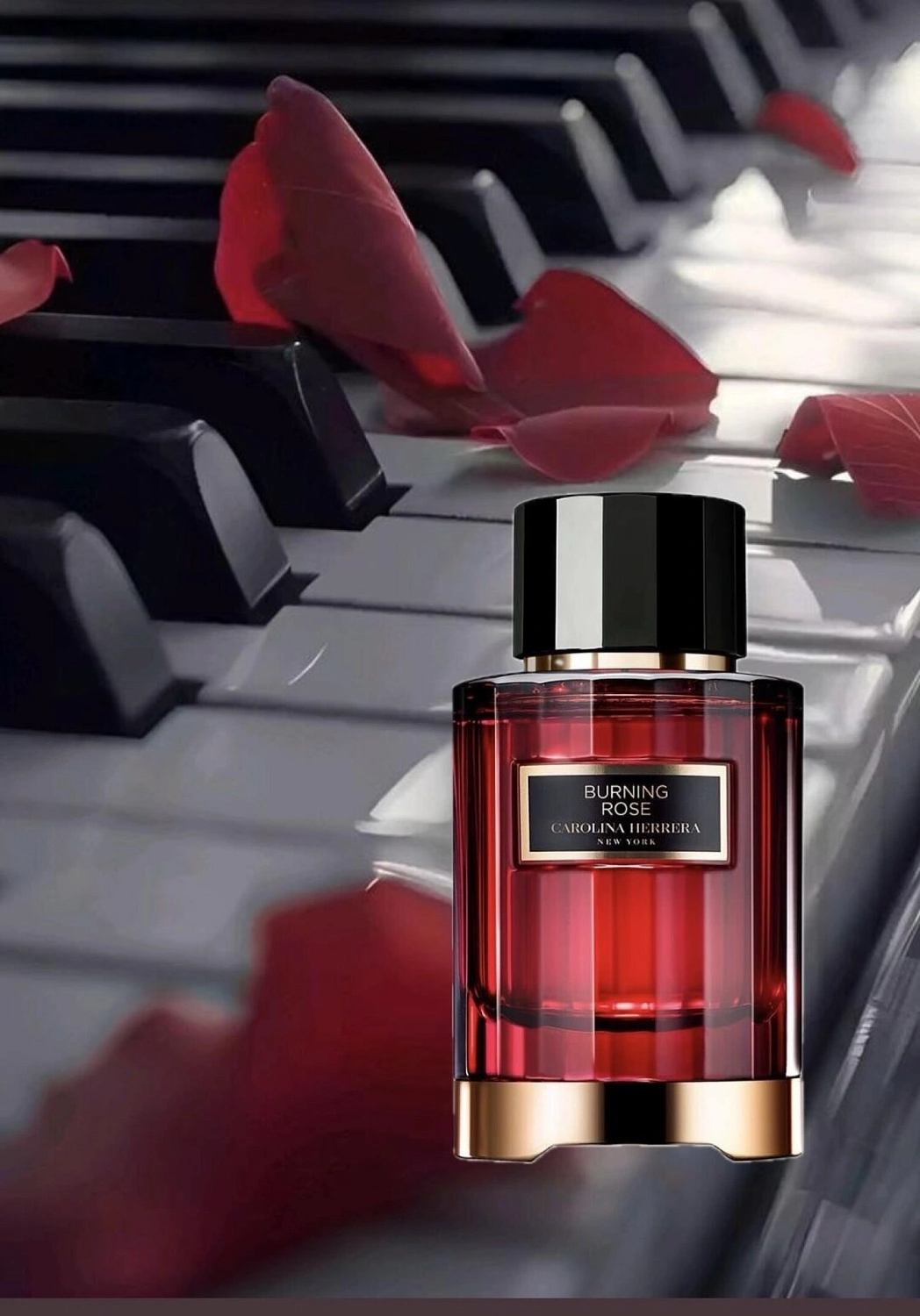Carolina Herrera Burning Rose