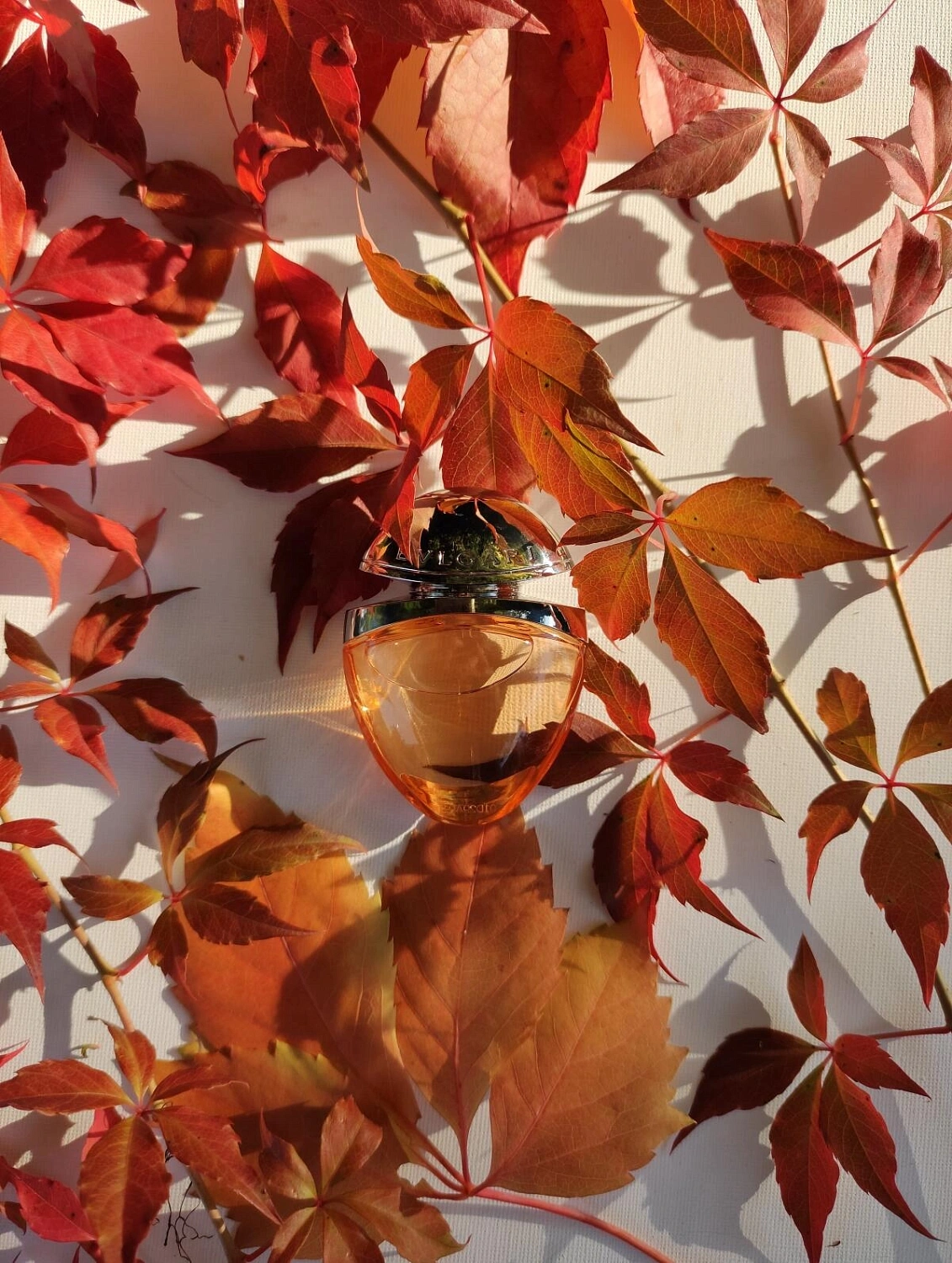 BVLGARI Omnia Indian Garnet