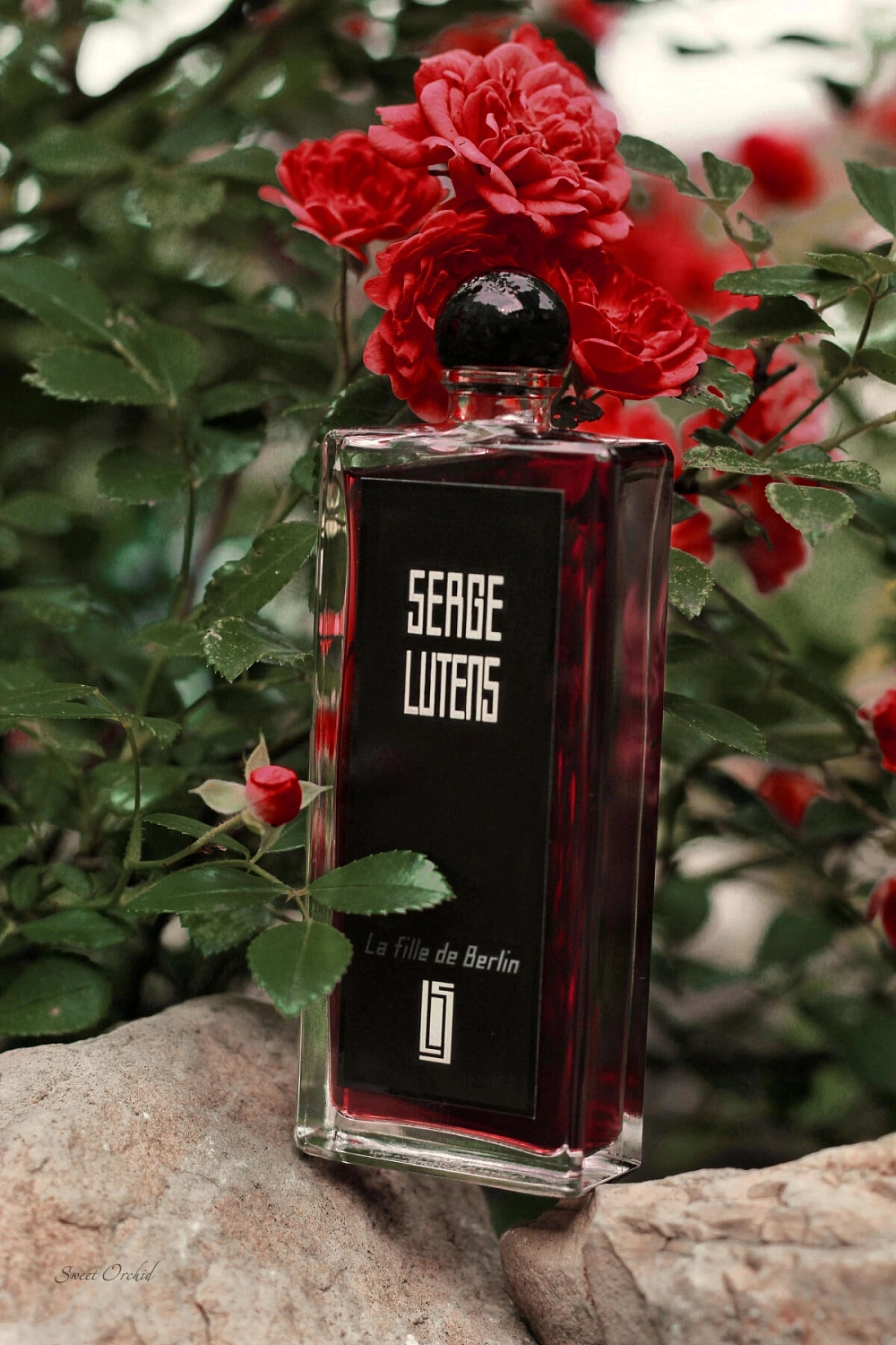 Serge Lutens La Fille de Berlin