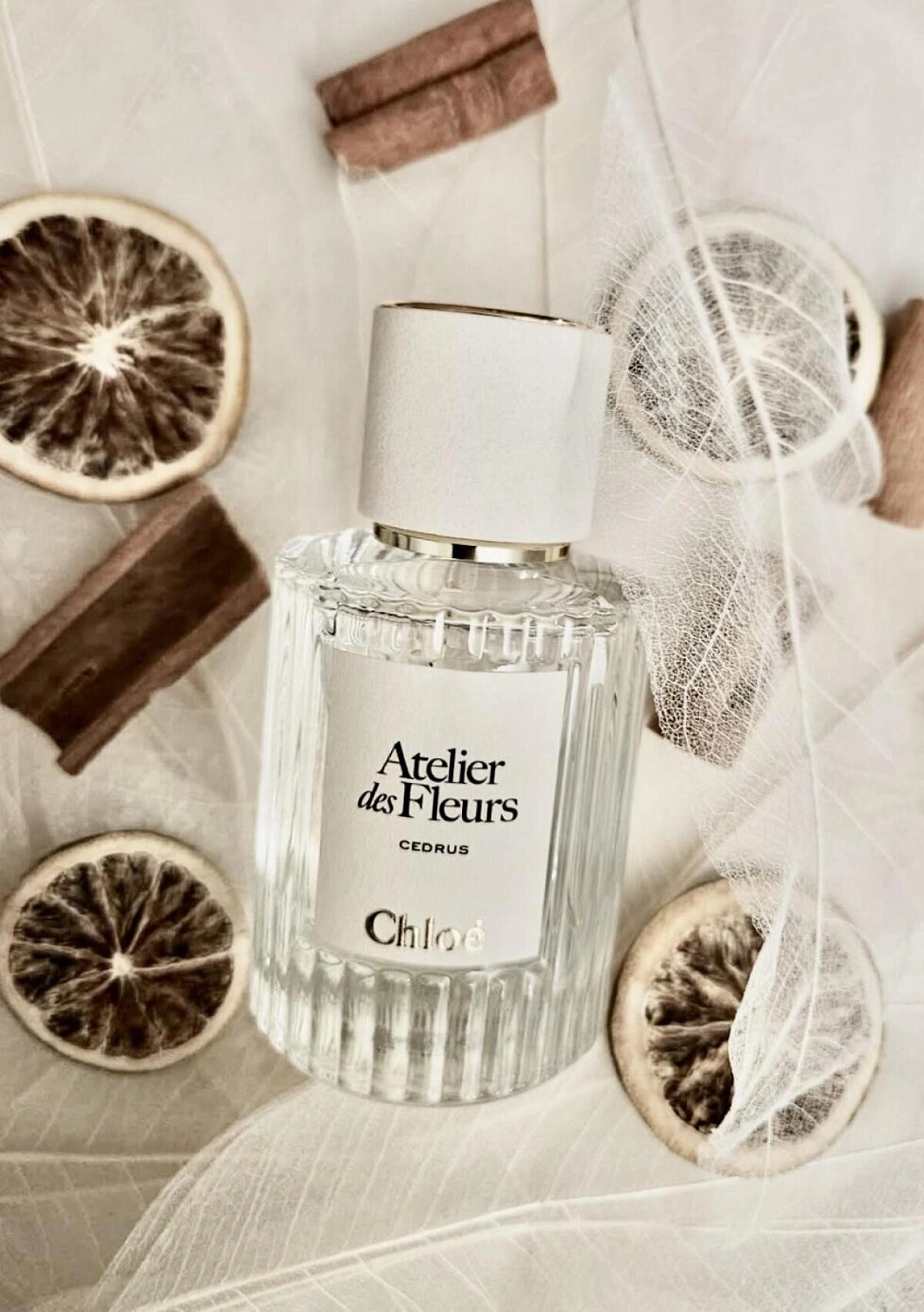 Chloe Atelier Des Fleurs Cedrus