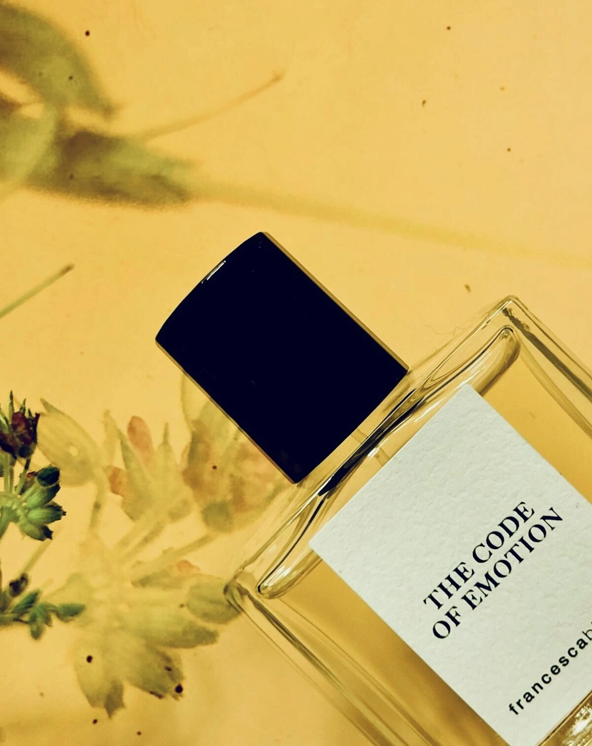 Francesca Bianchi The Code of Emotion