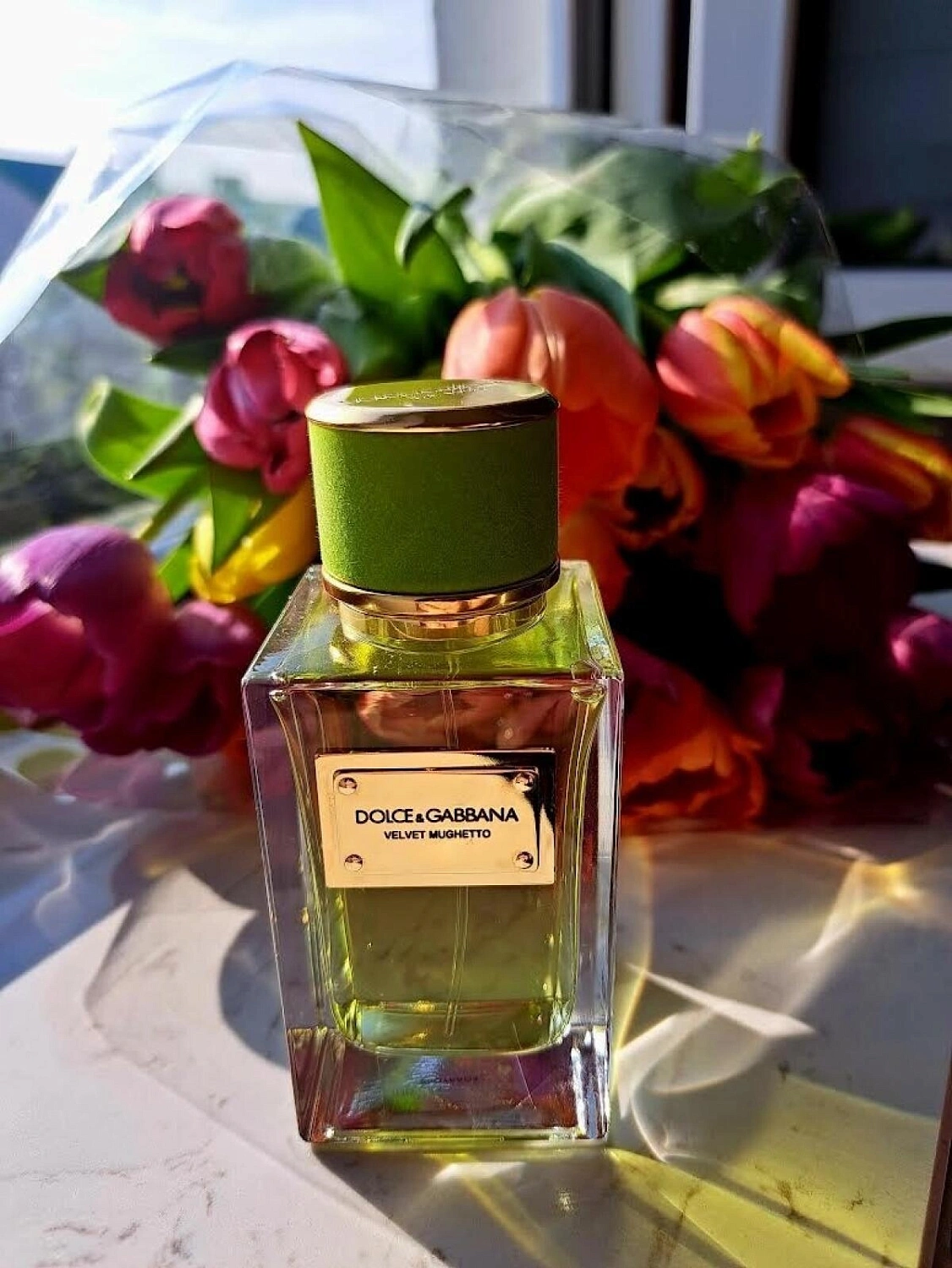 DOLCE & GABBANA Velvet Mughetto