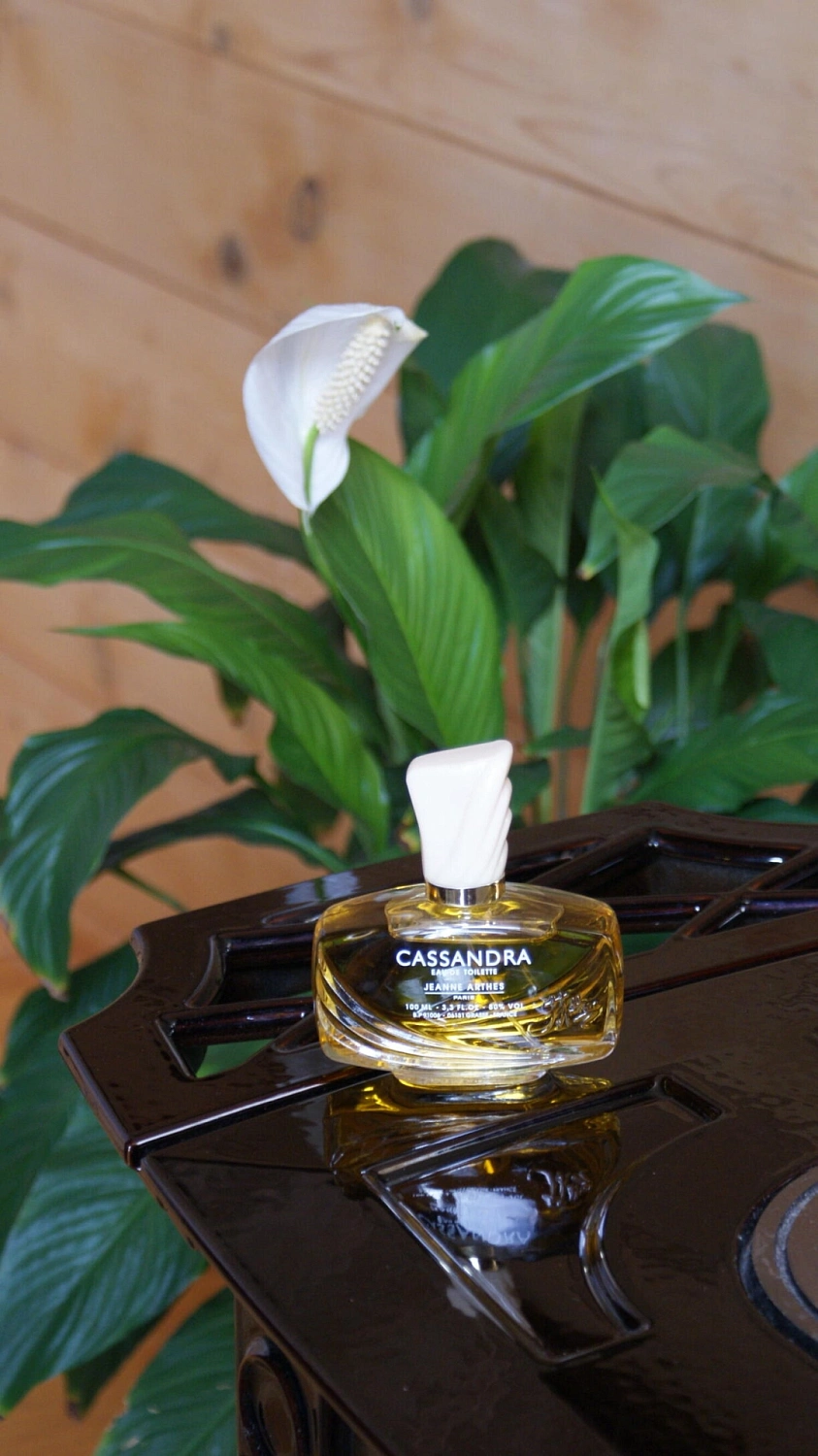 Jeanne Arthes Cassandra