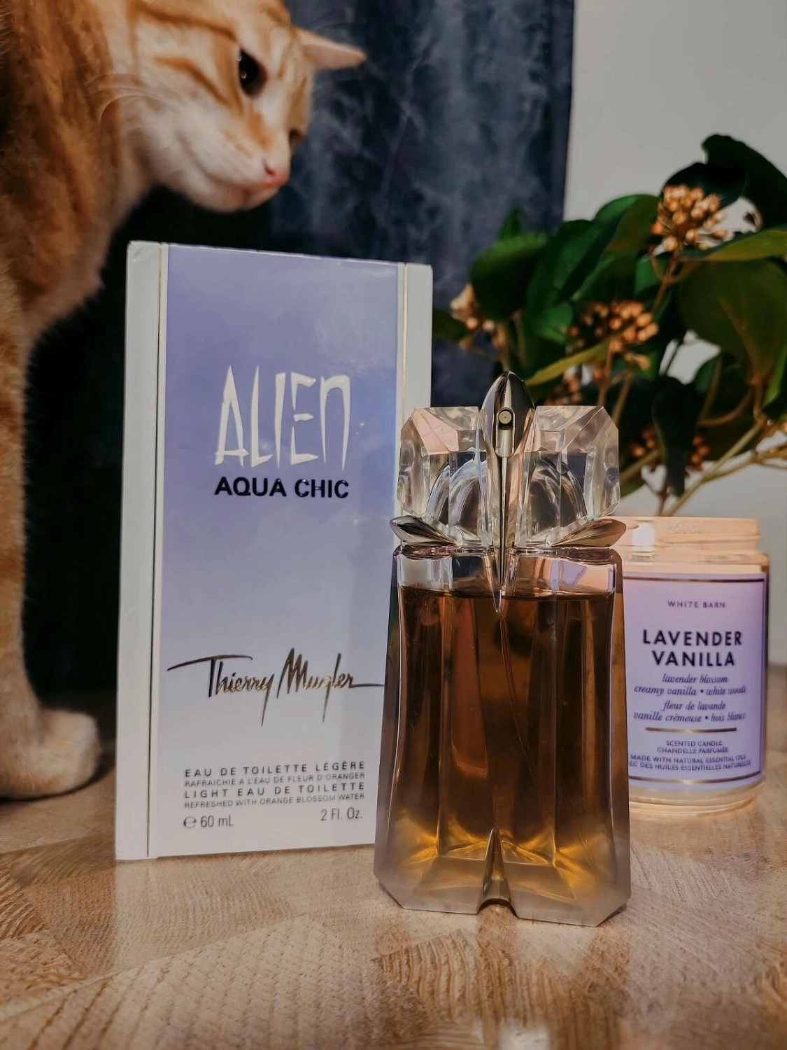 MUGLER Alien Aqua Chic 2013 (fleur D'oranger)