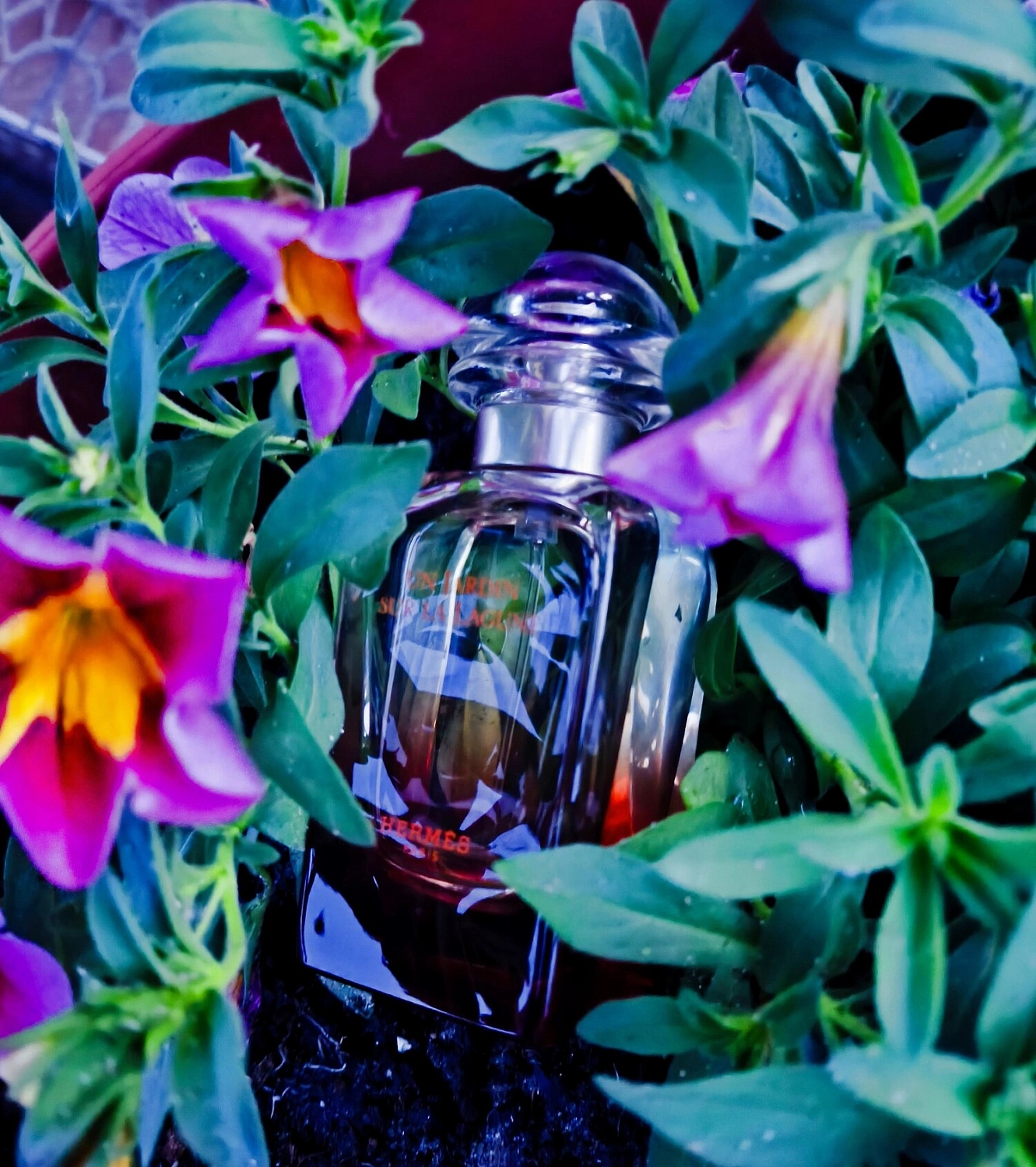 Hermès Un Jardin Sur La Lagune