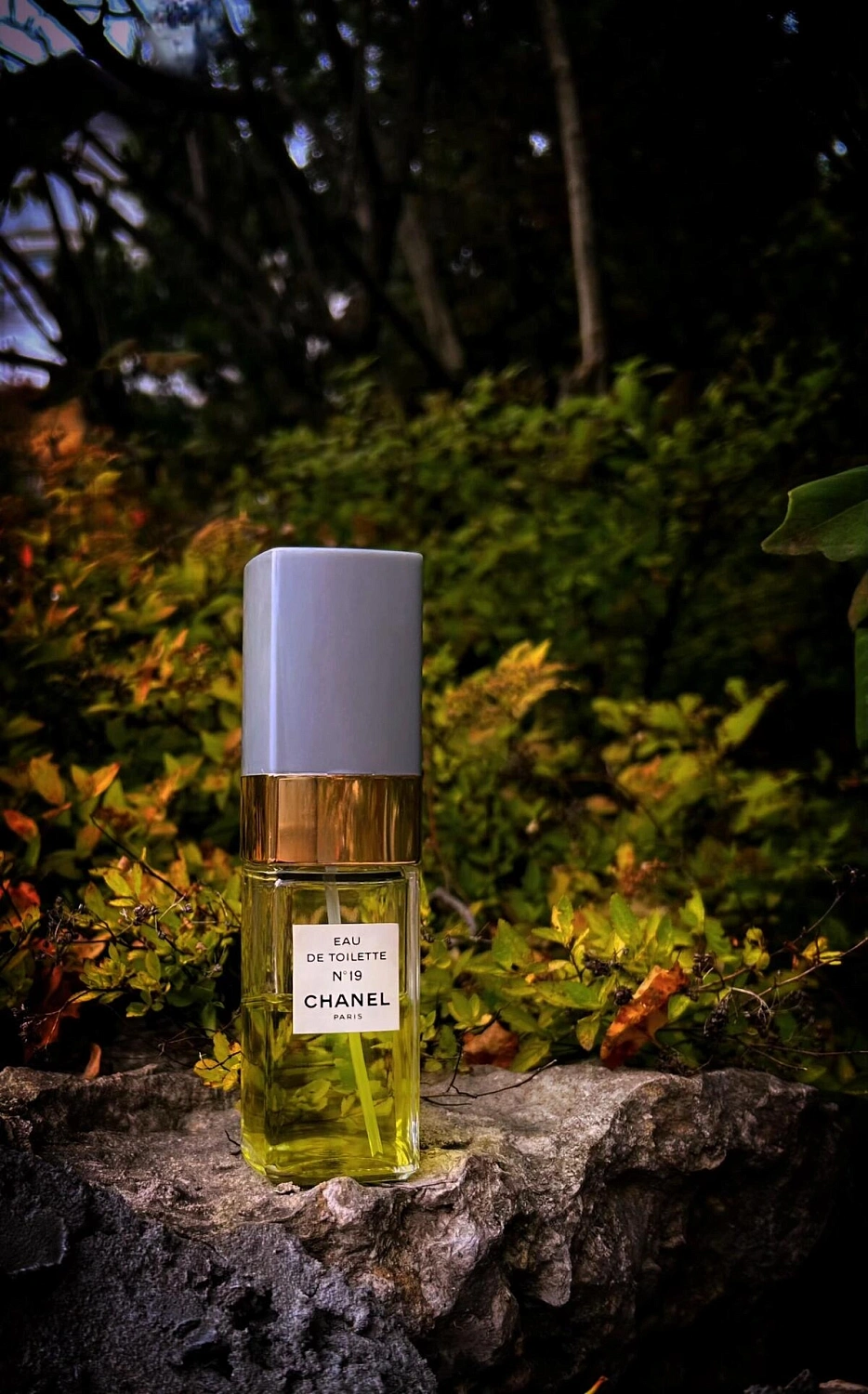 Chanel №19