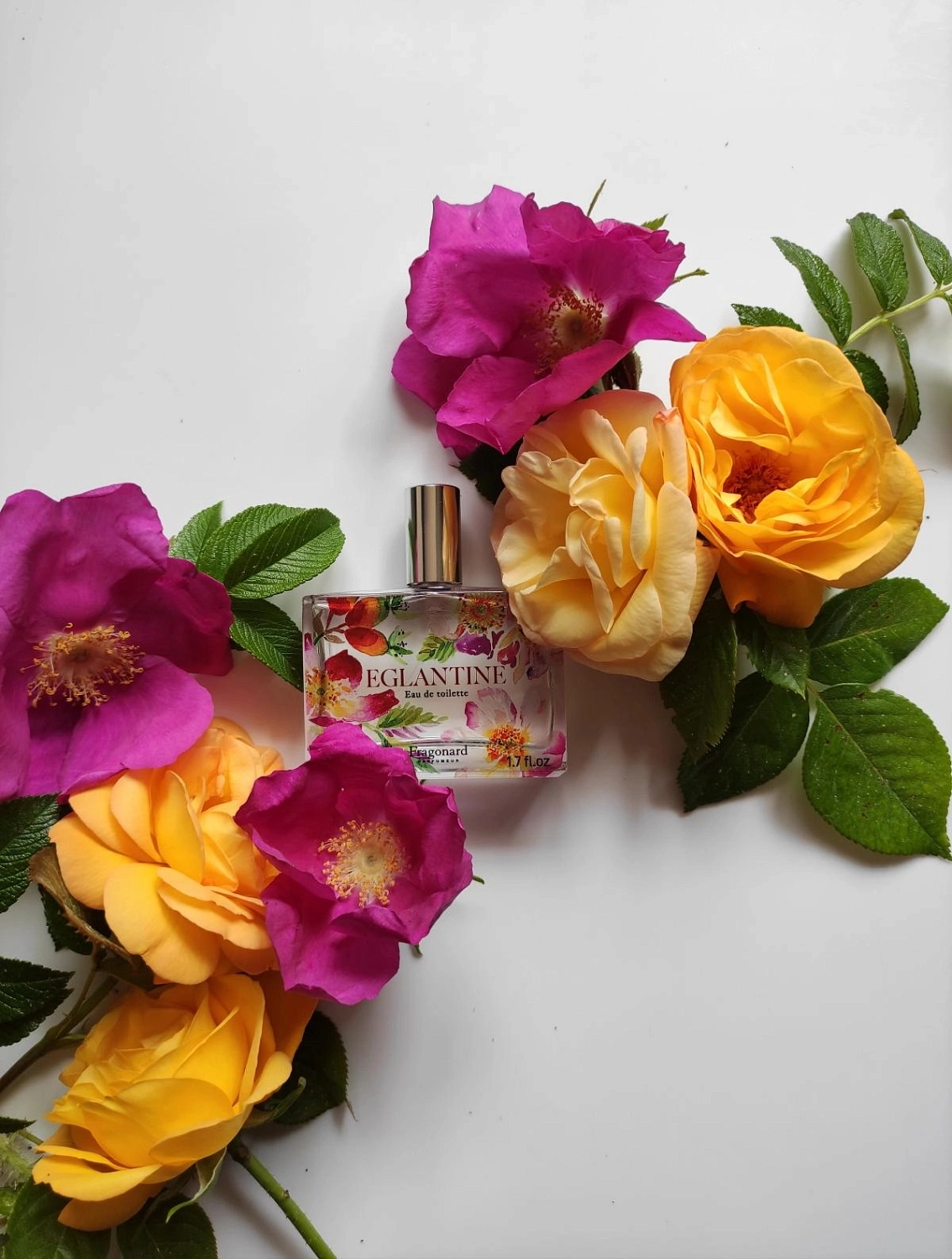 Fragonard Eglantine Fragonard Eglantine