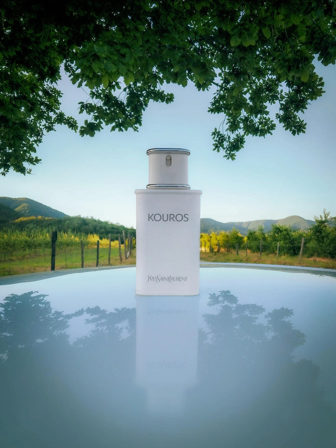 Yves Saint Laurent Kouros