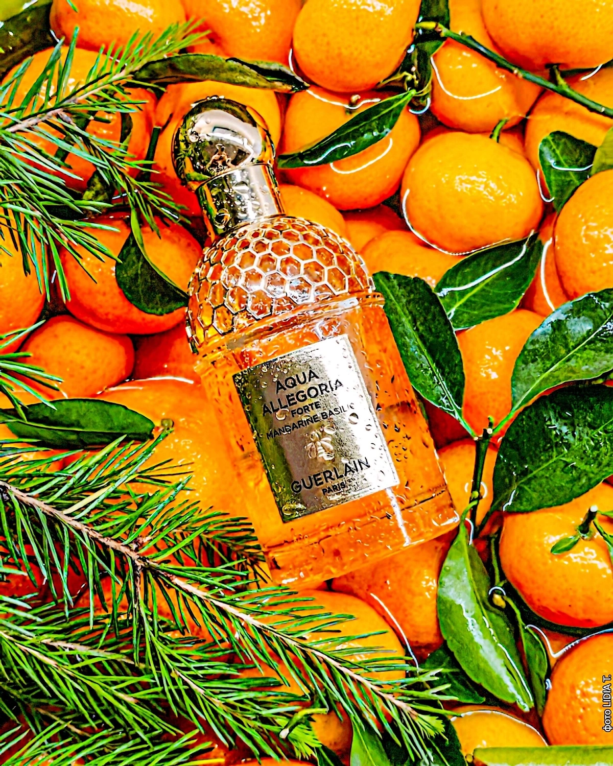 Guerlain Aqua Allegoria Forte Mandarine Basilic