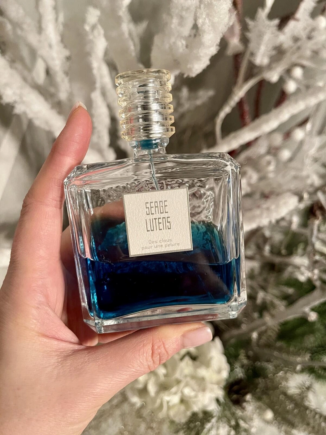Serge Lutens Des Clous Pour Une Pelure Serge Lutens Des Clous Pour Une Pelure