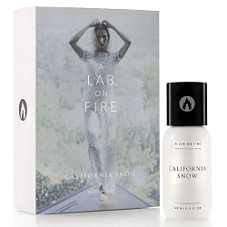 What We Do Is Secret (A Lab on Fire) California Snow
