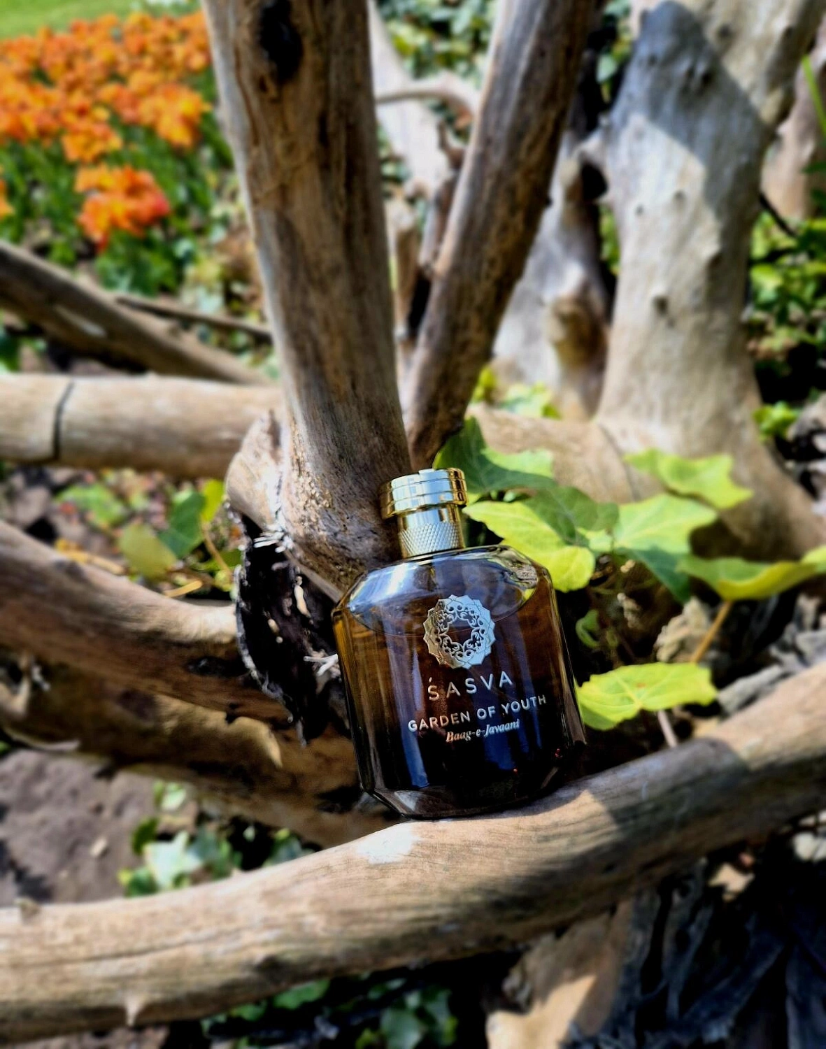 Sasva Garden Of Youth Baag-e-Javaani