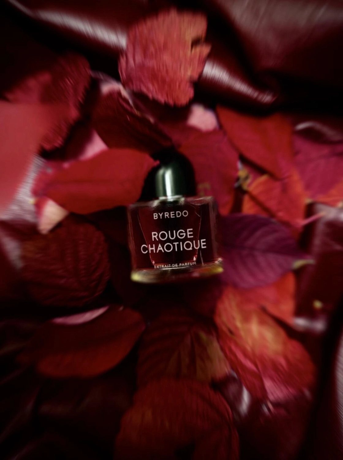 BYREDO Rouge Chaotique