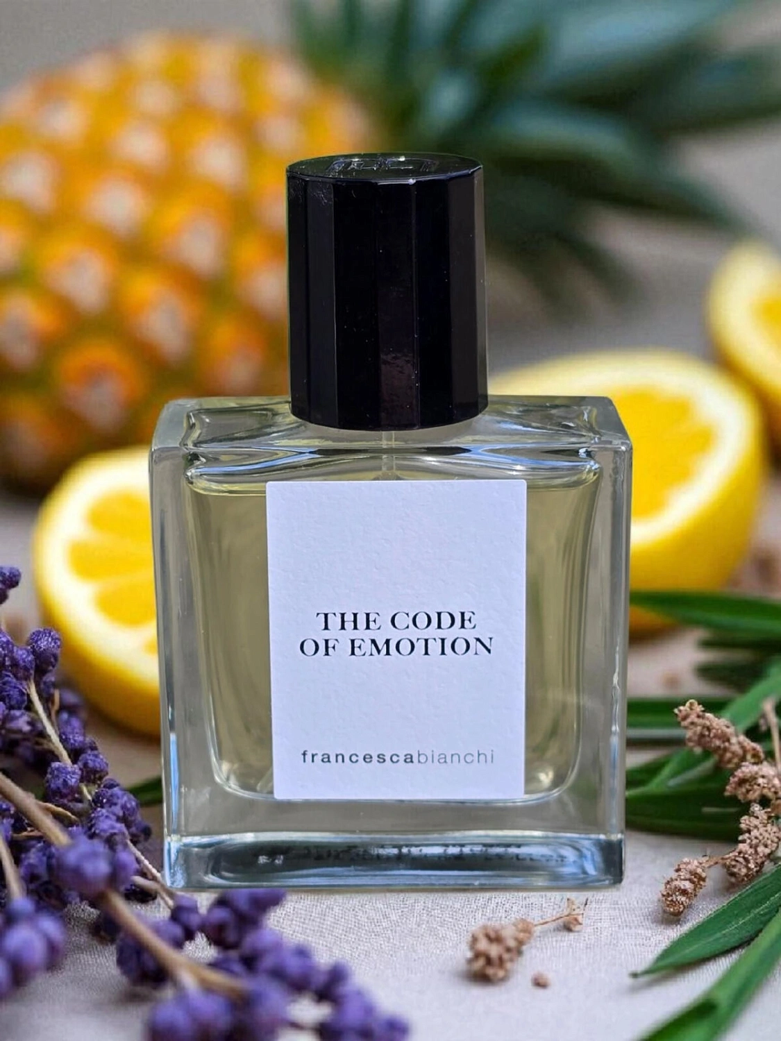 Francesca Bianchi The Code of Emotion