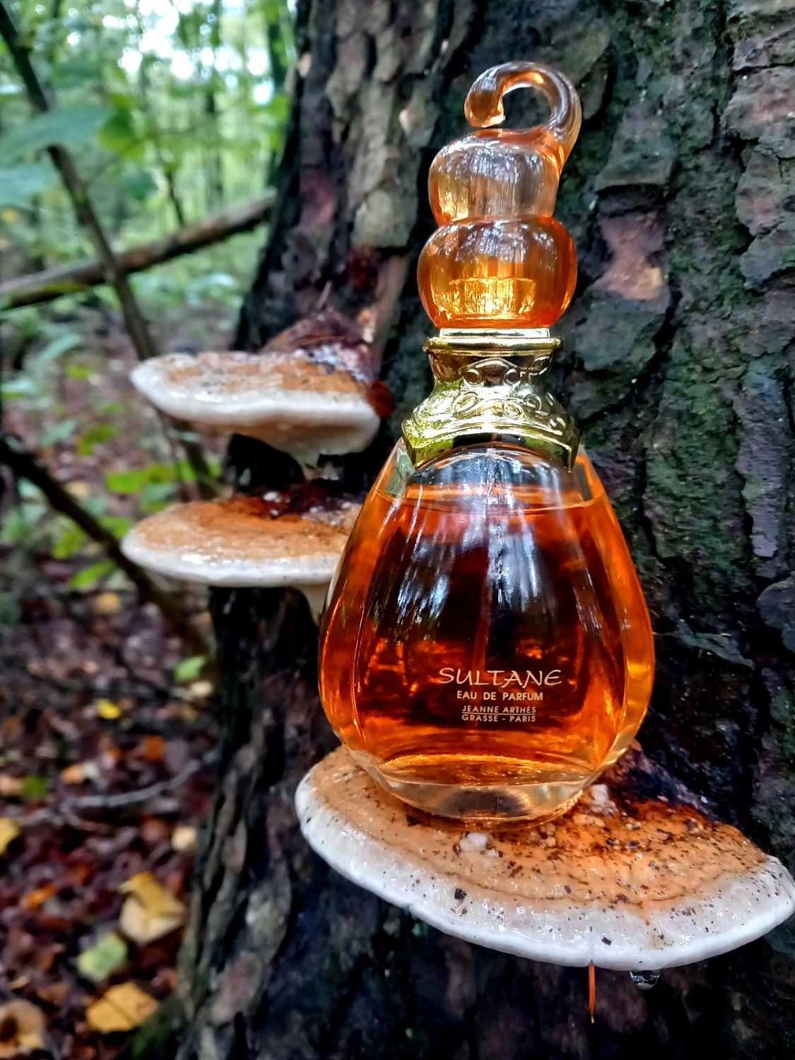 Jeanne Arthes Sultane