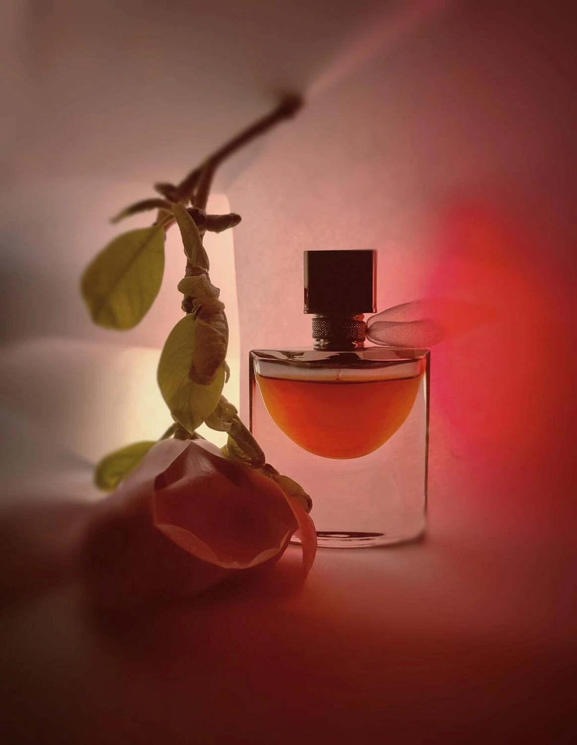 Lancome La Vie Est Belle L’Absolu