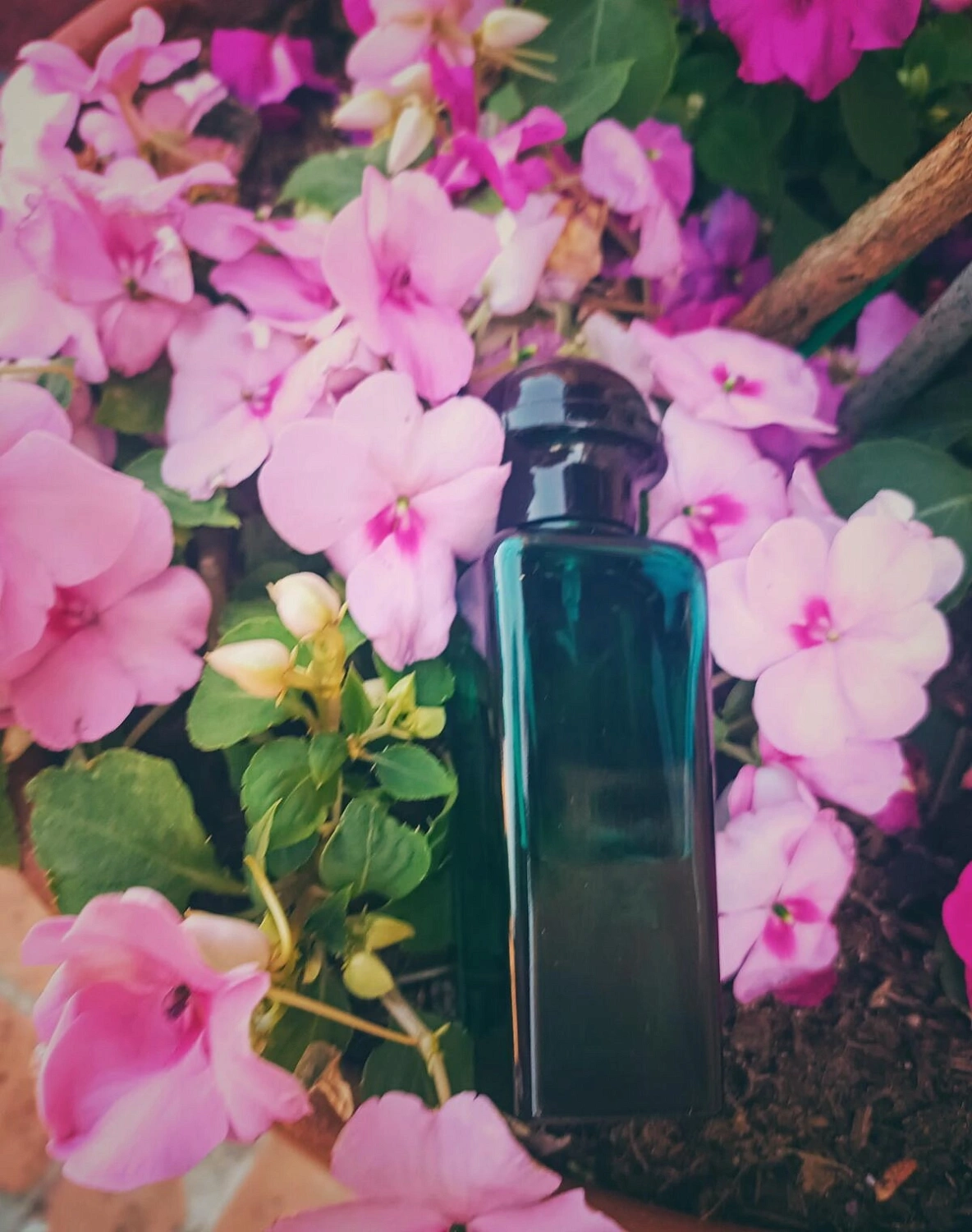 Hermes Eau D’Orange Verte