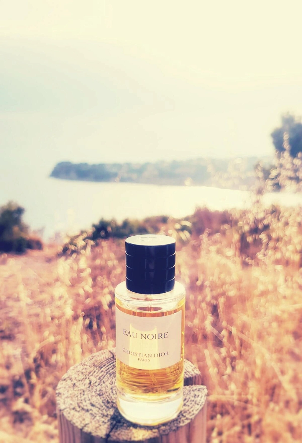 Christian Dior Eau Noire