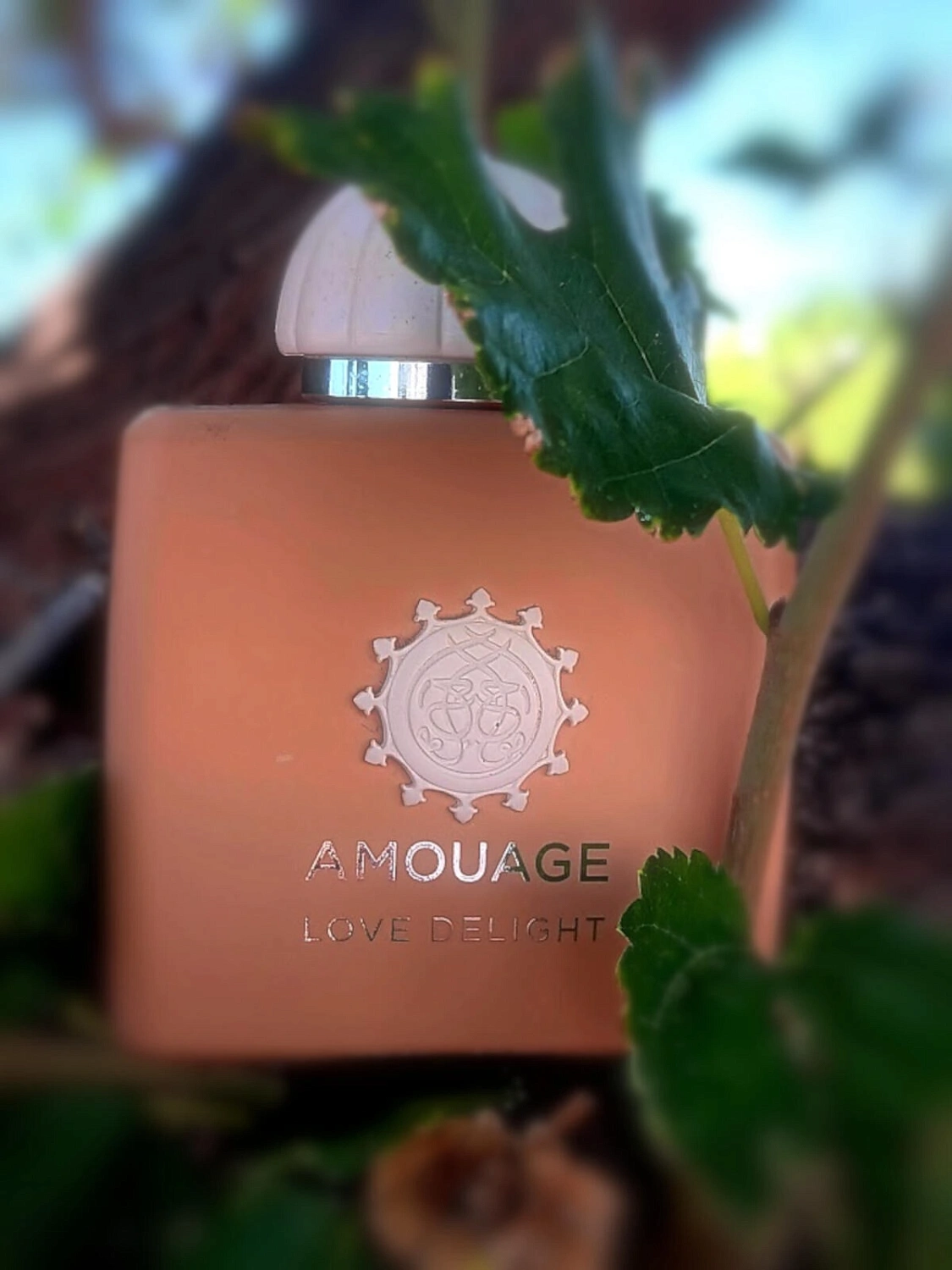Amouage Love Delight Amouage Love Delight