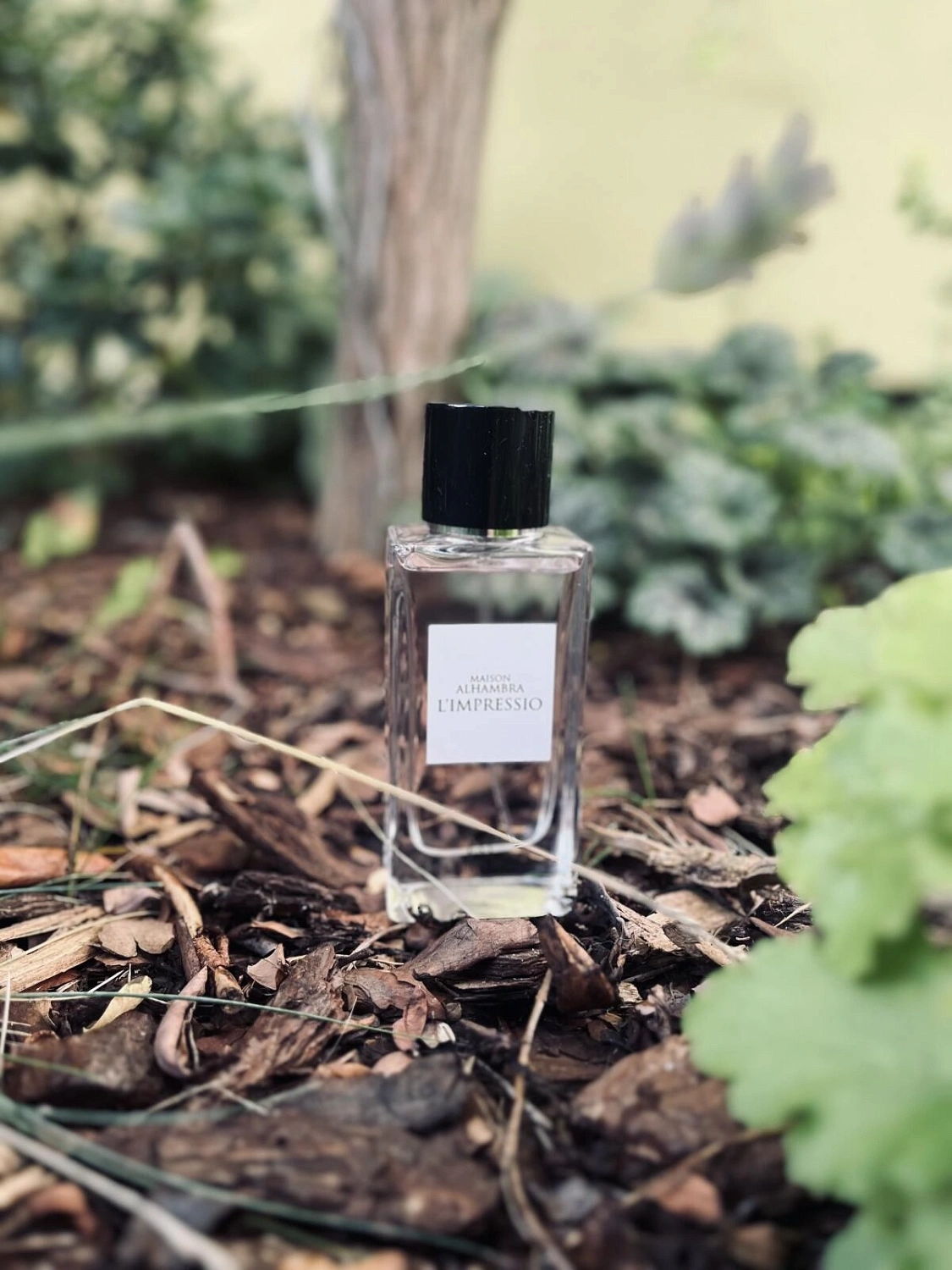 Alhambra III L'Impressio (по мотивам DG L'imperatrice 3)