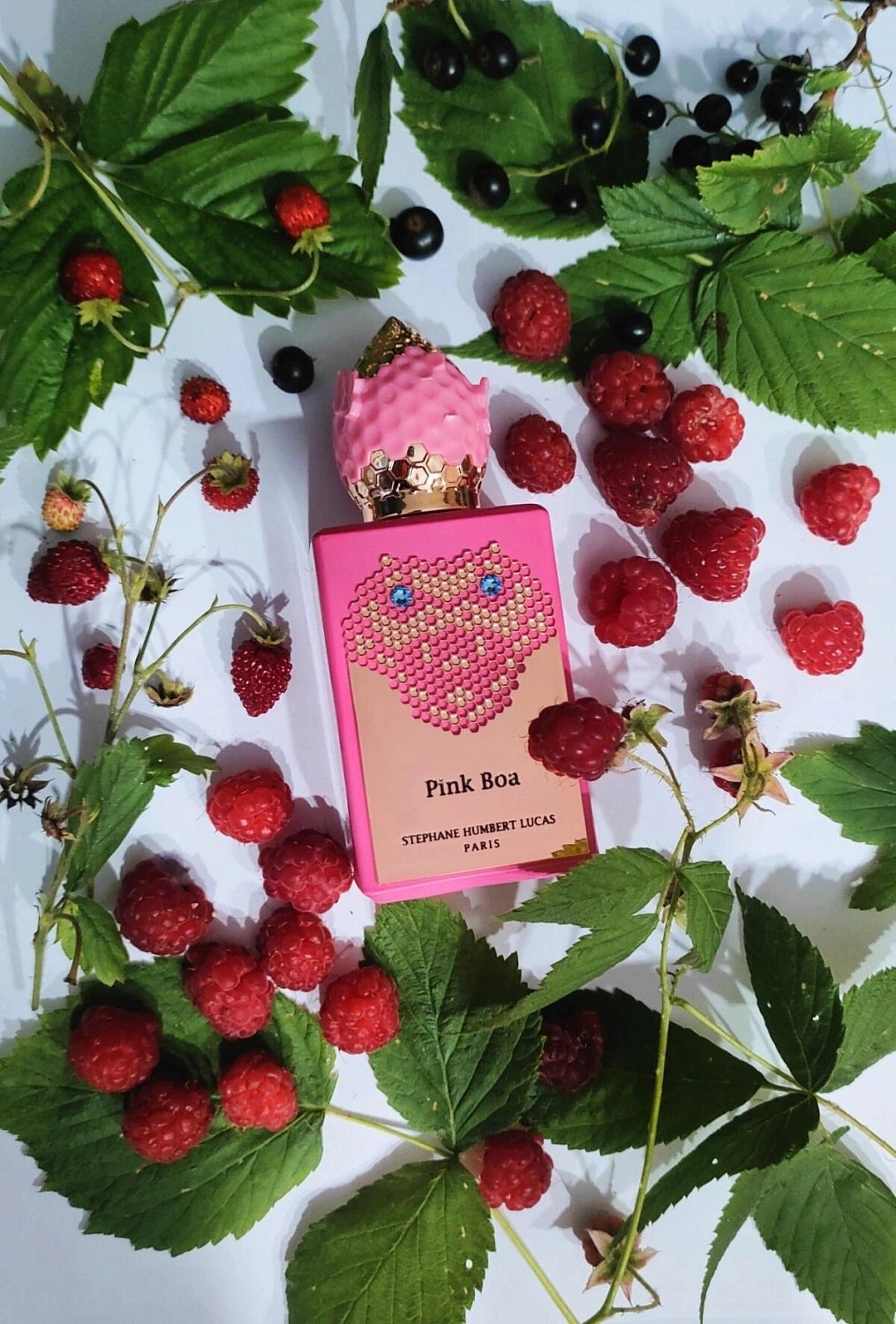 Stephane Humbert Lucas 777 Pink Boa